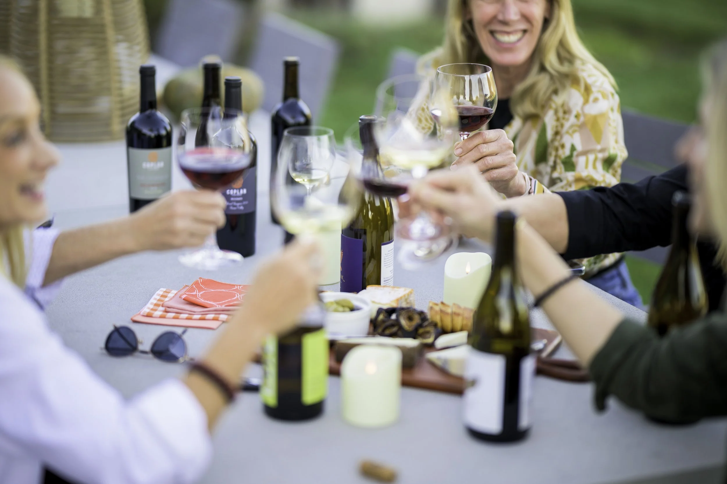 A group of people enjoying a toast with glasses of red and white wine at an outdoor dinner table, with food and wine bottles visible.