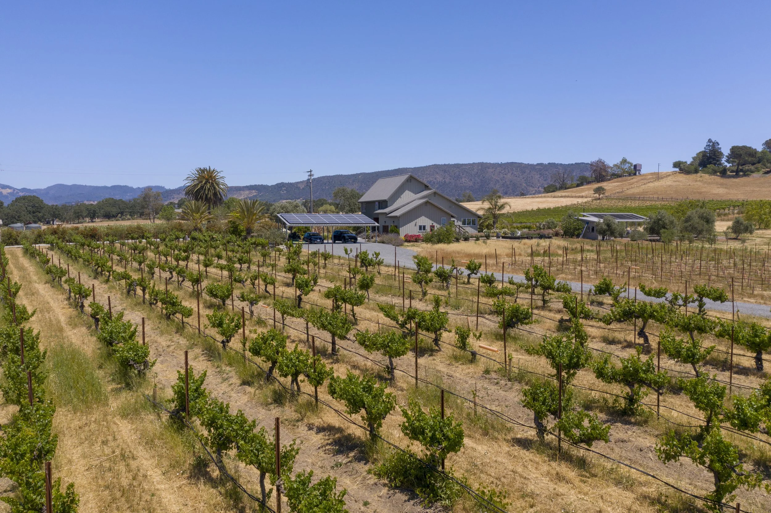 Copland Vineyards Property