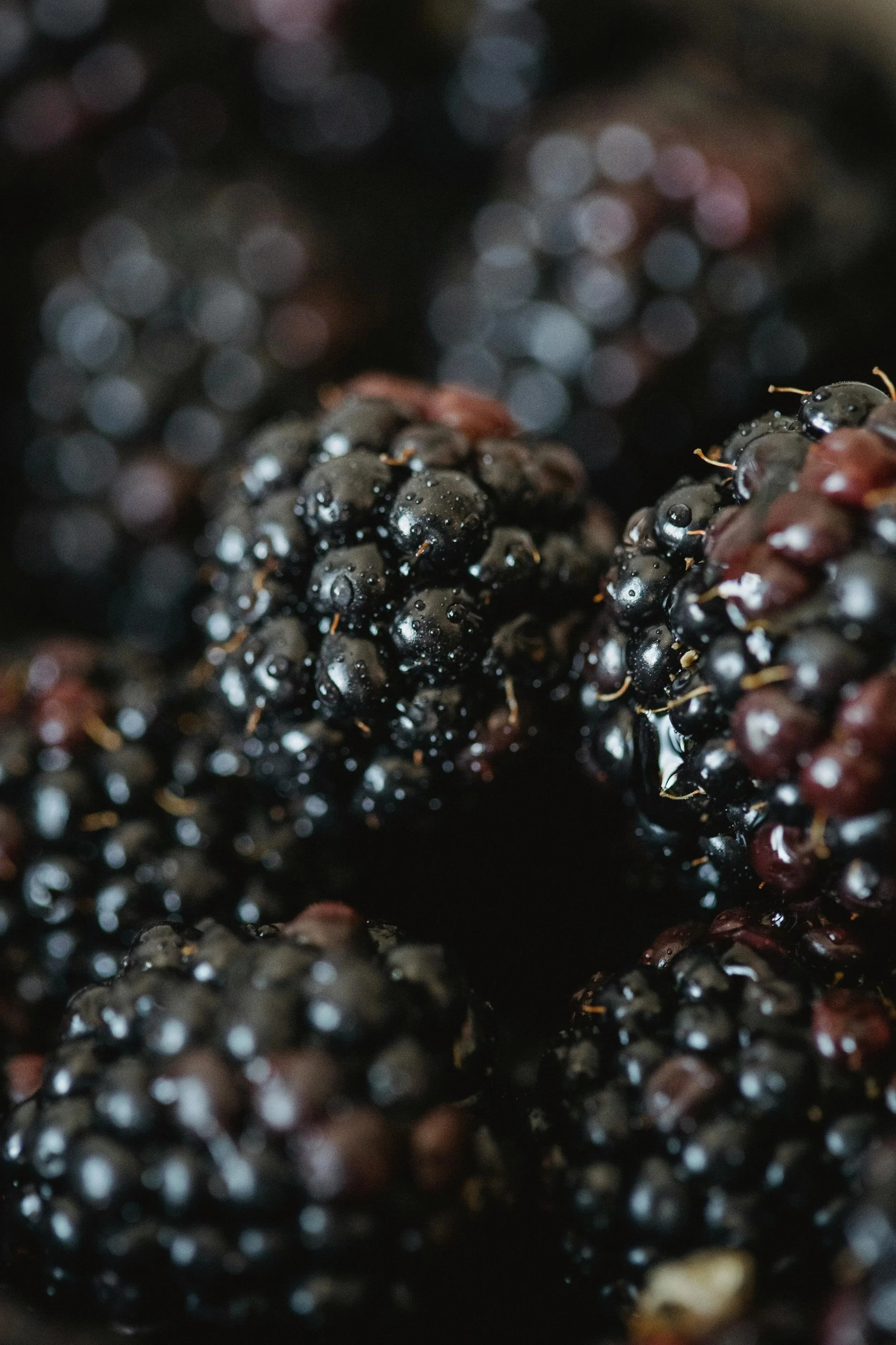 Close-up of fresh blackberries with water droplets.