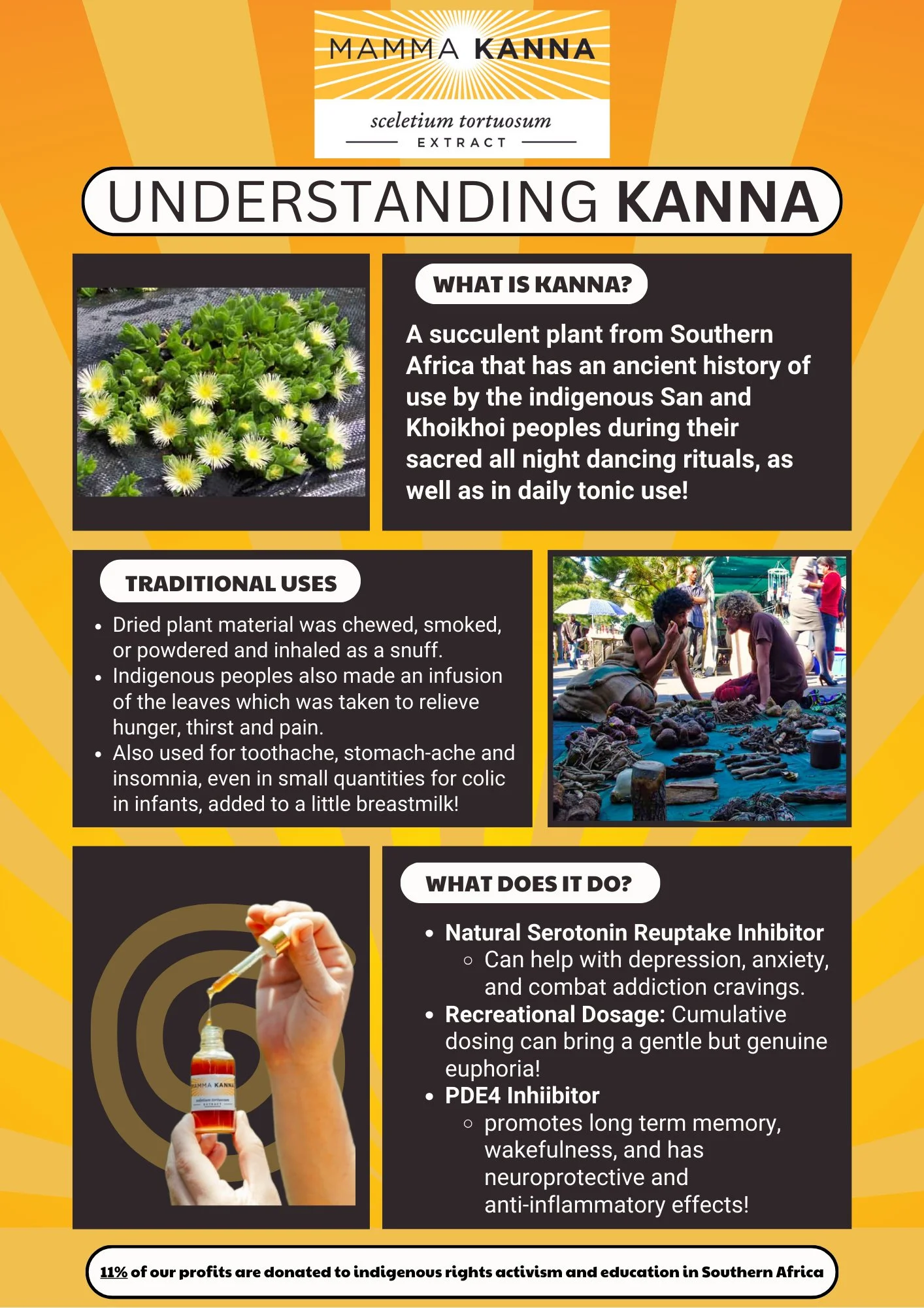 understanding Kanna Flyer.png.PNG