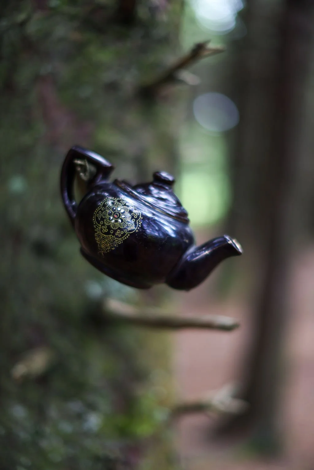 Tea in the Forest Experience