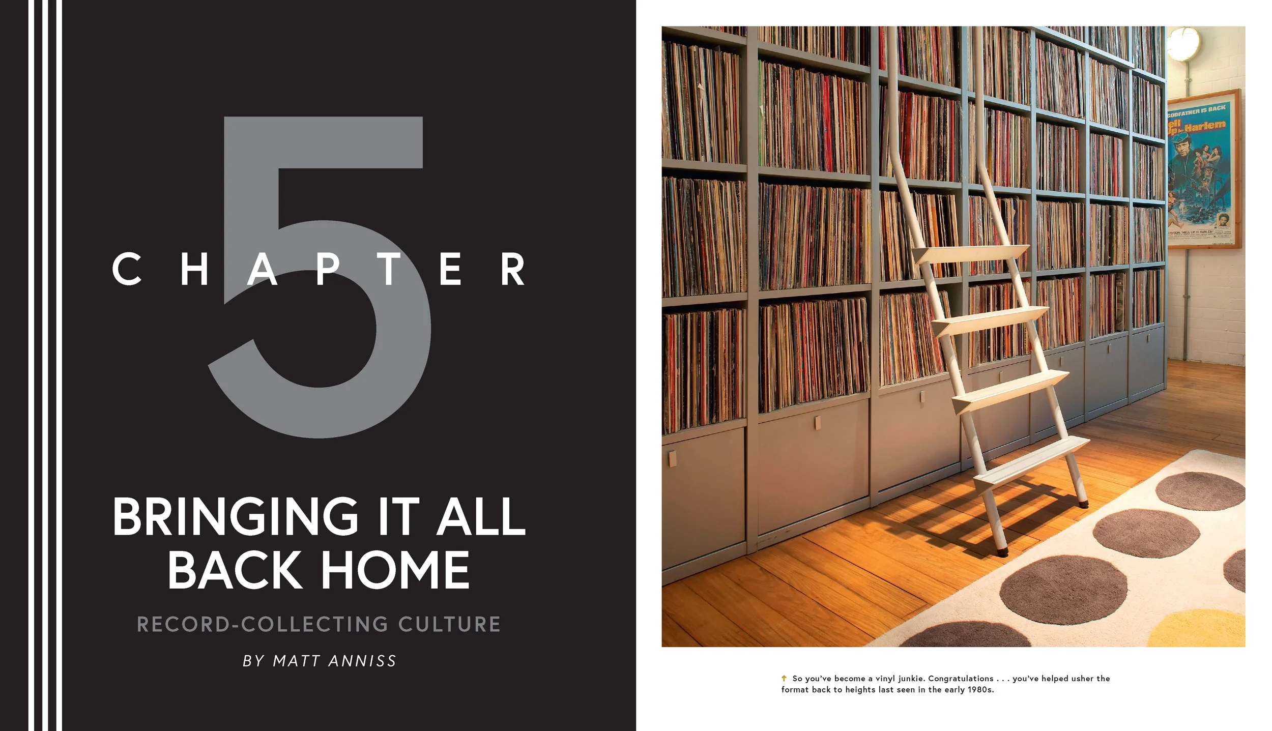 "In the Groove: The Vinyl Record and Turntable Revolution", Motorbooks 