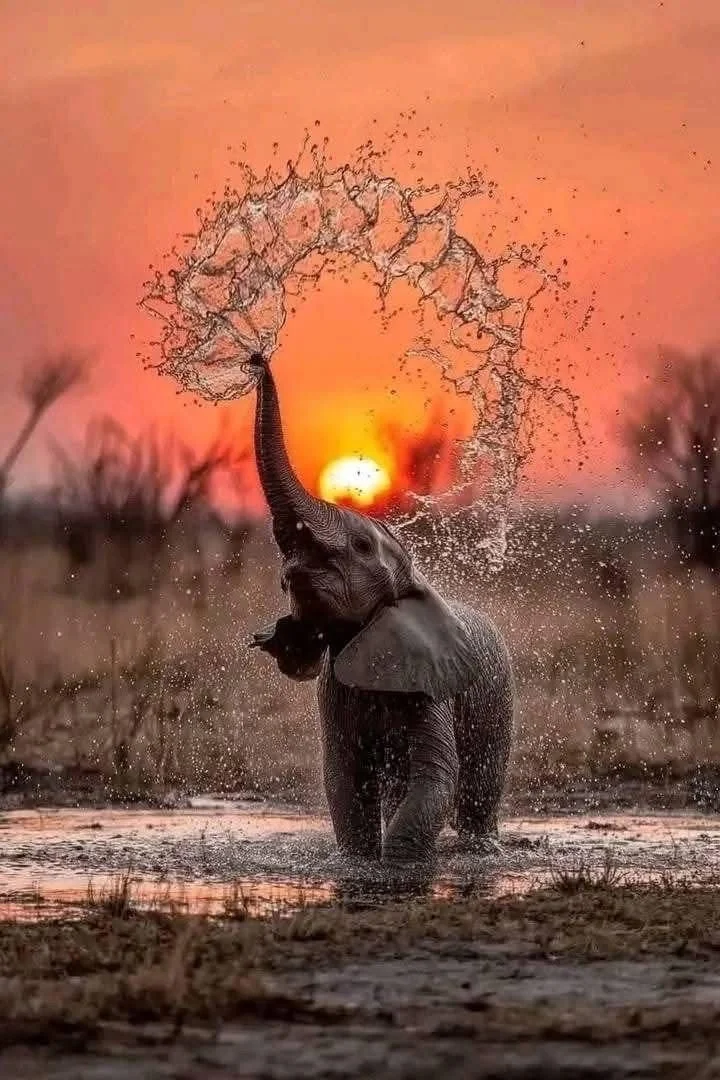 The Visible Voice Spots 5-10