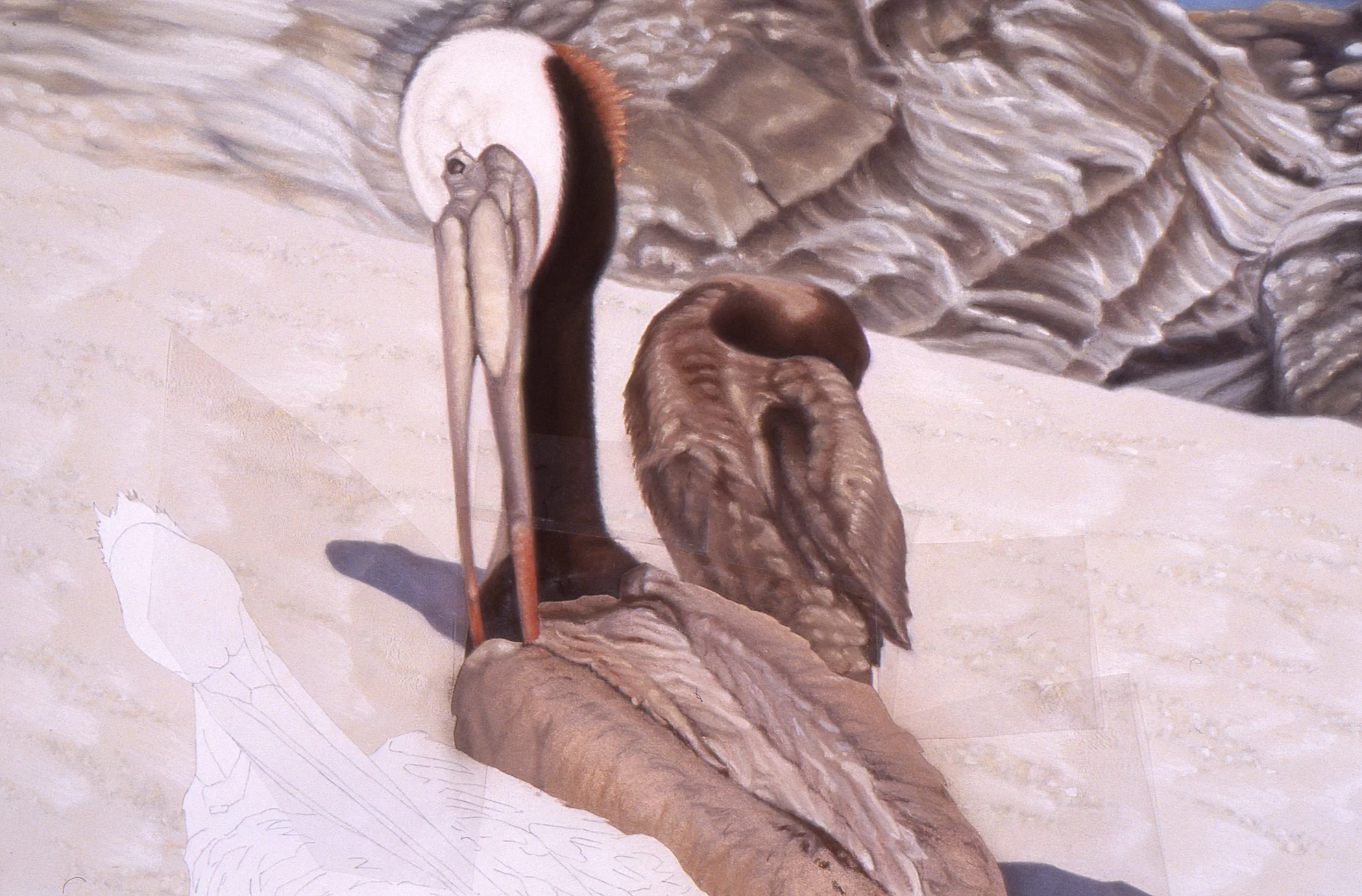 "Four Pelicans", detail 1 (digital image/slide)