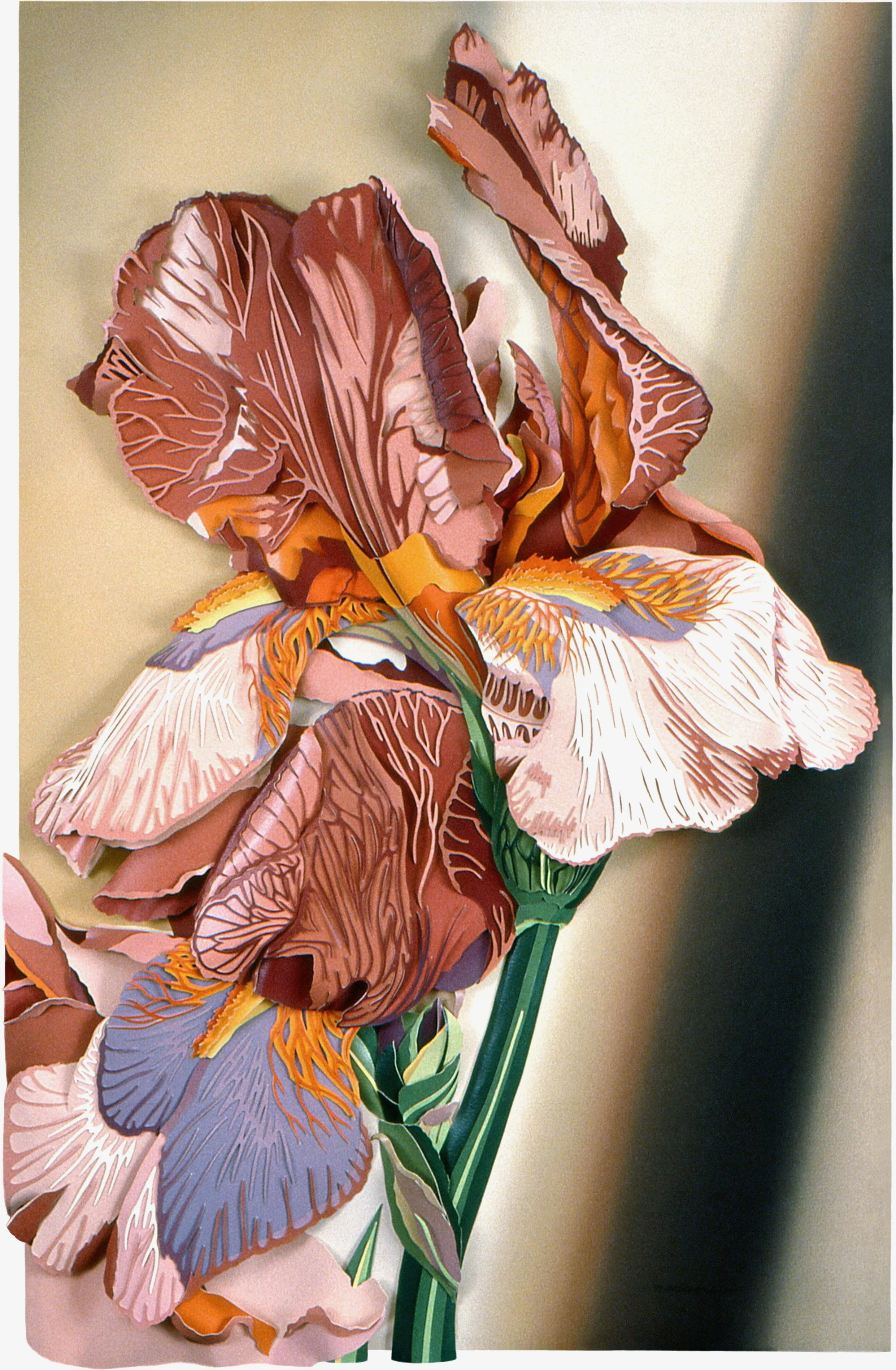 "Iris II", acrylic construction on d'Arches paper, 39x25x2-inches, 1989 (Studio)