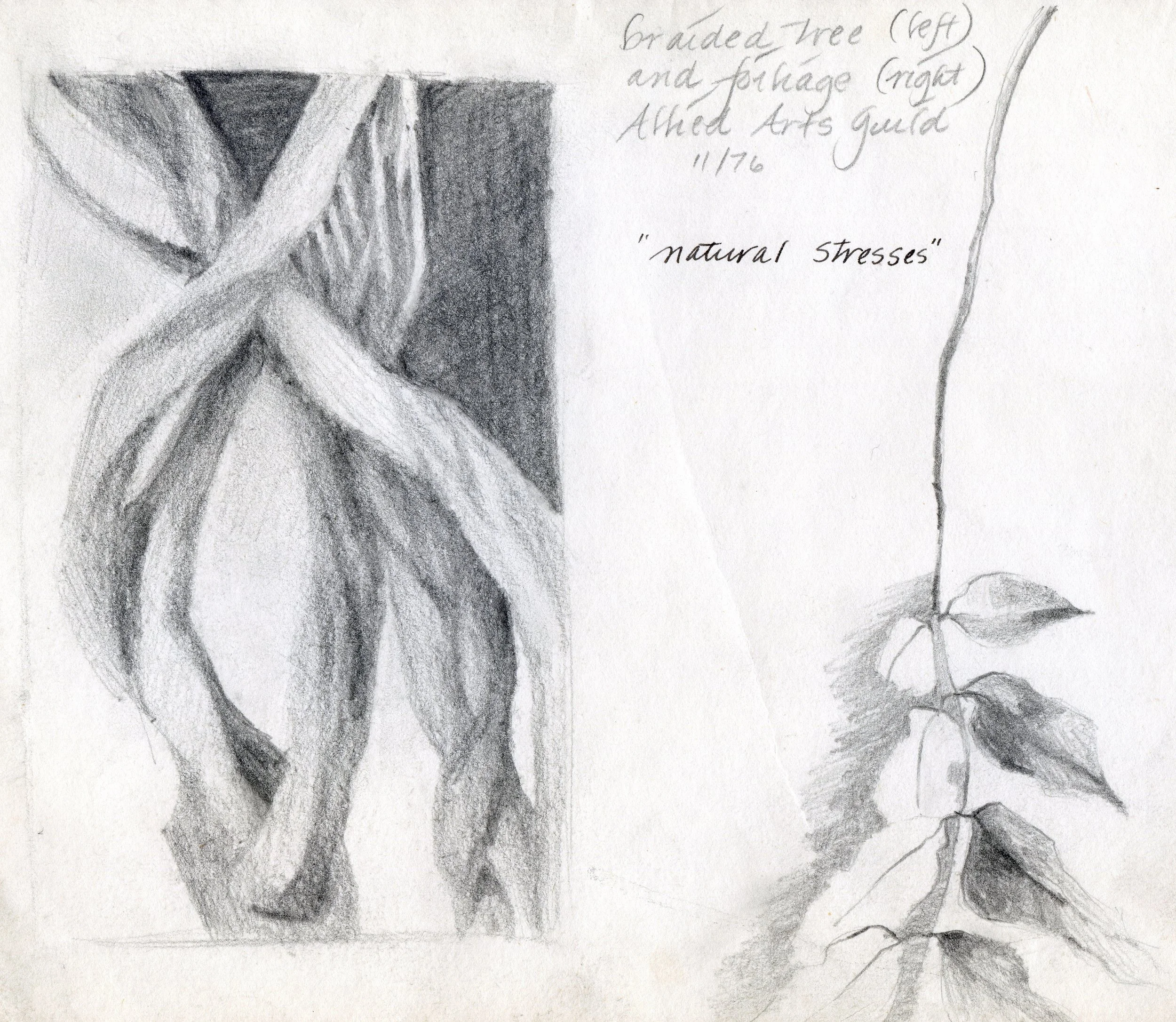 "Natural Stresses", sketch, pencil on paper, 8.5x11-inches, 1976
