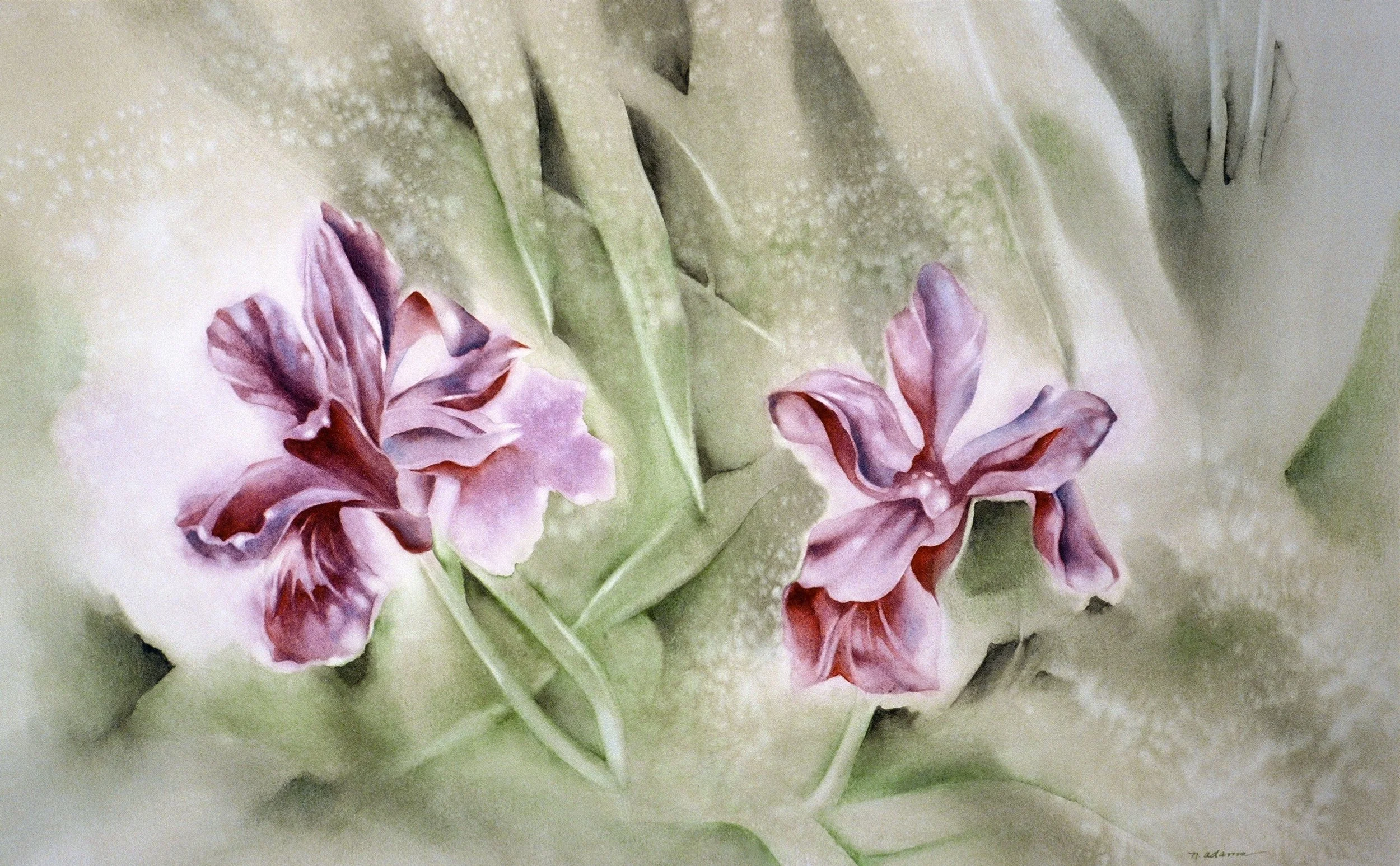 "Wild Iris", watercolor on d'Arches paper, 25x39-inches, 1982 (Collector)