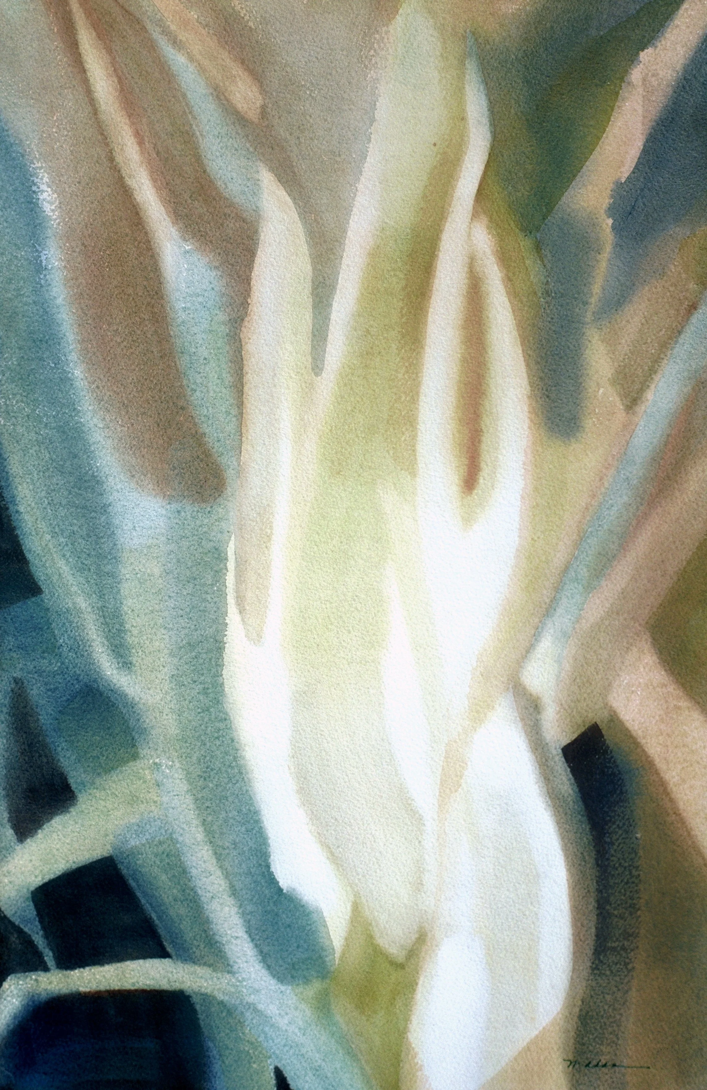 "Palm Fronds", watercolor on d'Arches paper, 21x14-inches, 1976 (Collector)