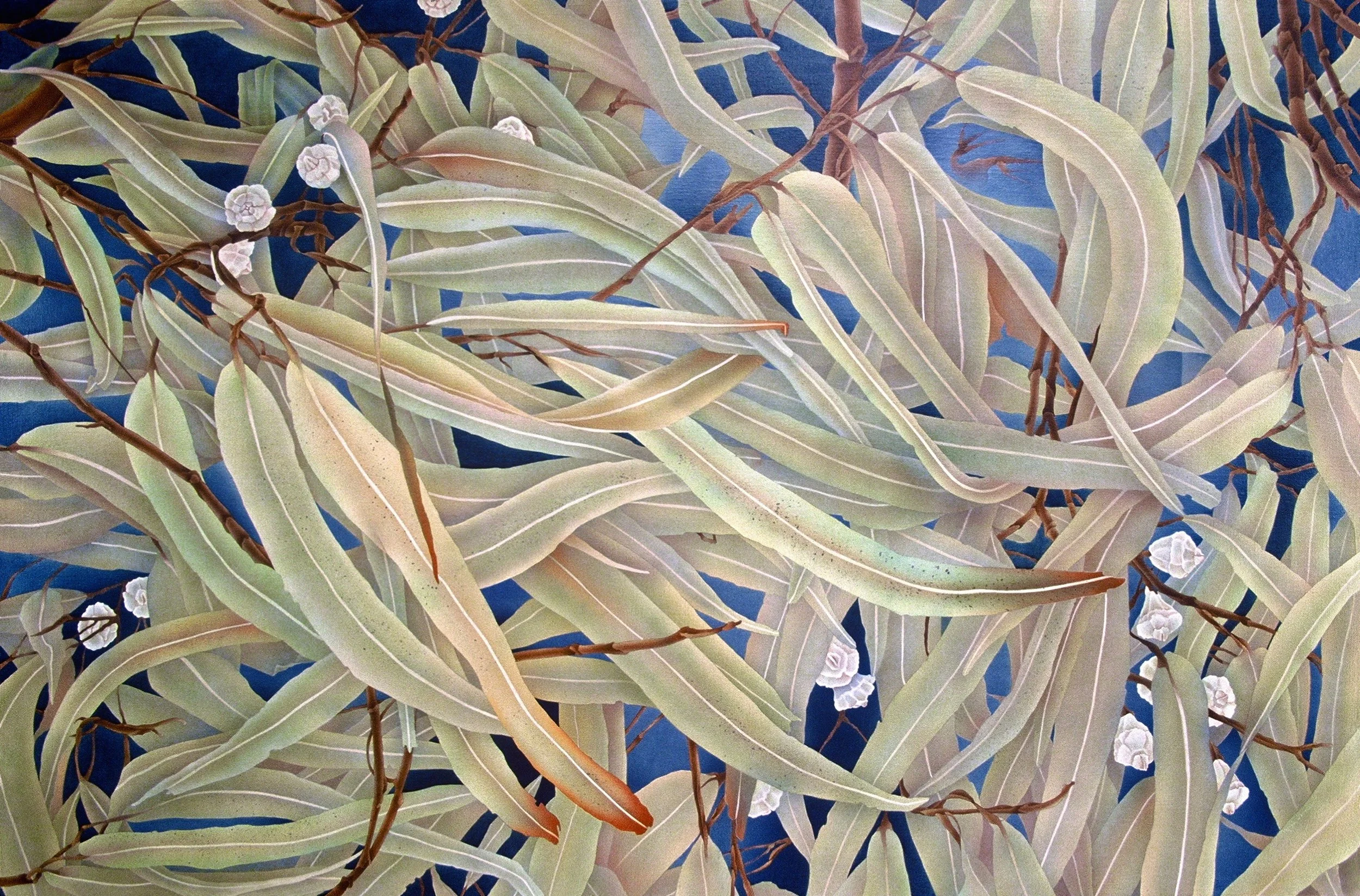 "Eucalyptus II", airbrush acrylic on linen canvas, 40x60-inches, 1985 (Collector)