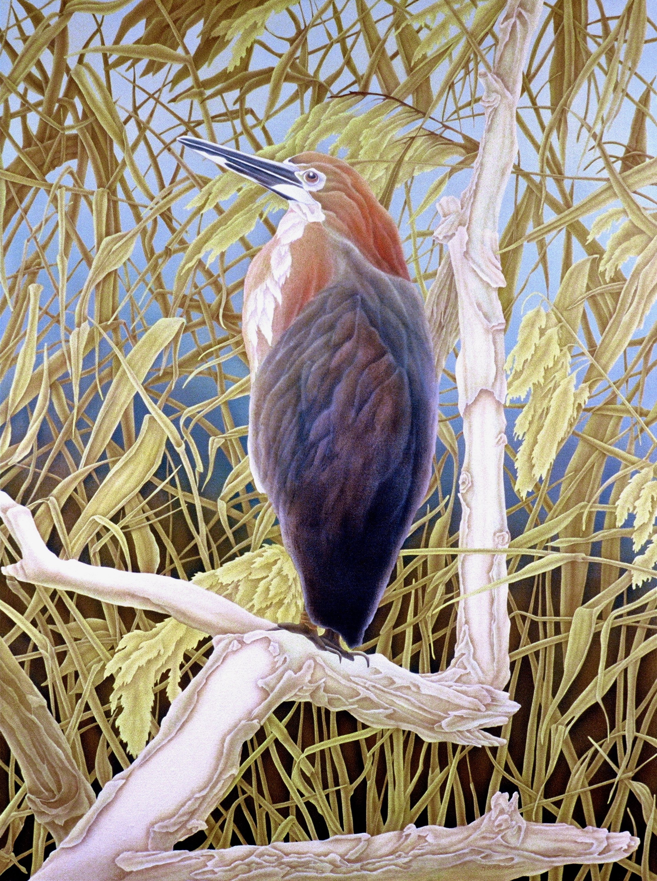 "Bird in the Branches", airbrush acrylic on linen canvas, 48x36-inches, 1986 (Collector)