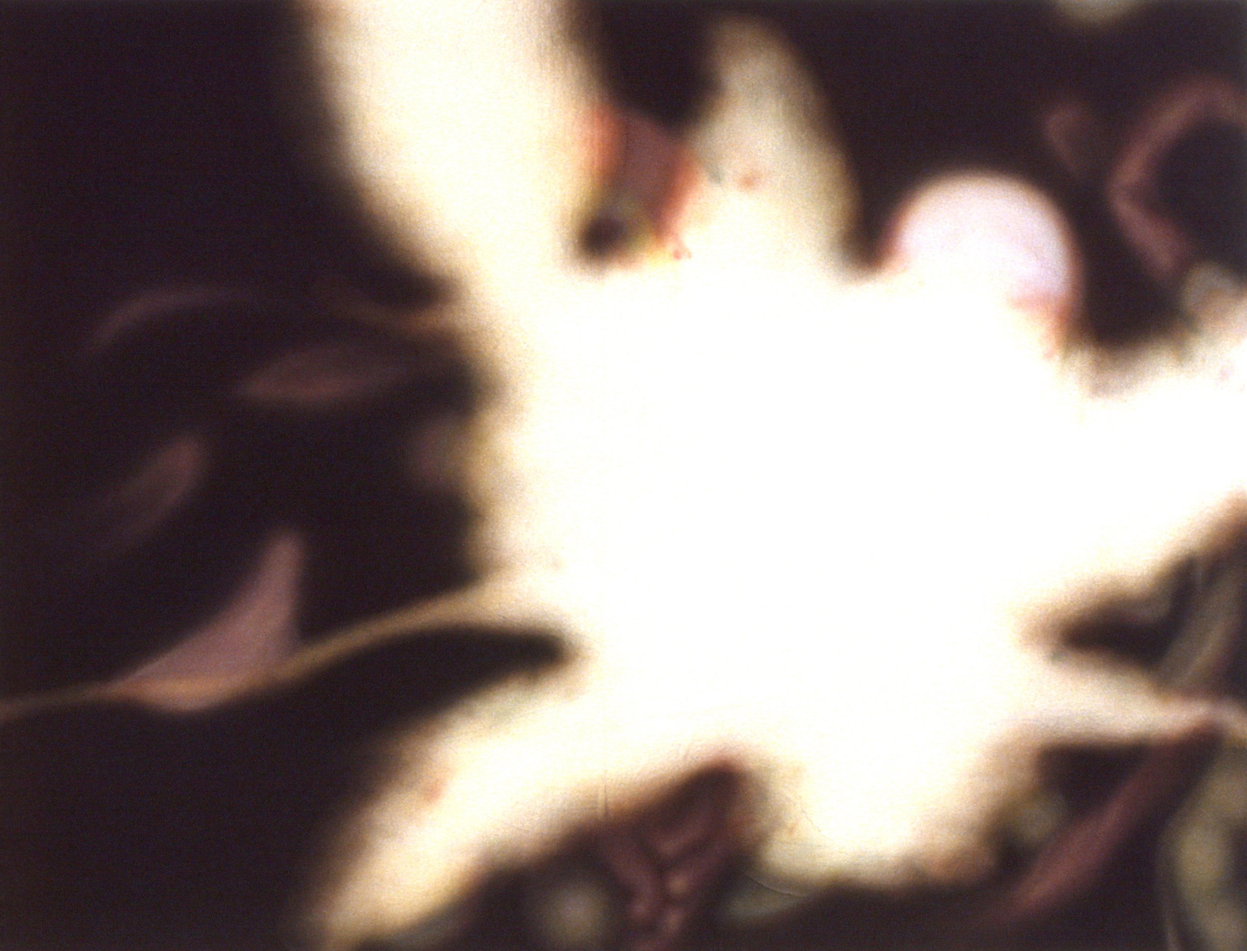 "Magnolias, Red and White", early stage 1 (digital image/slide)