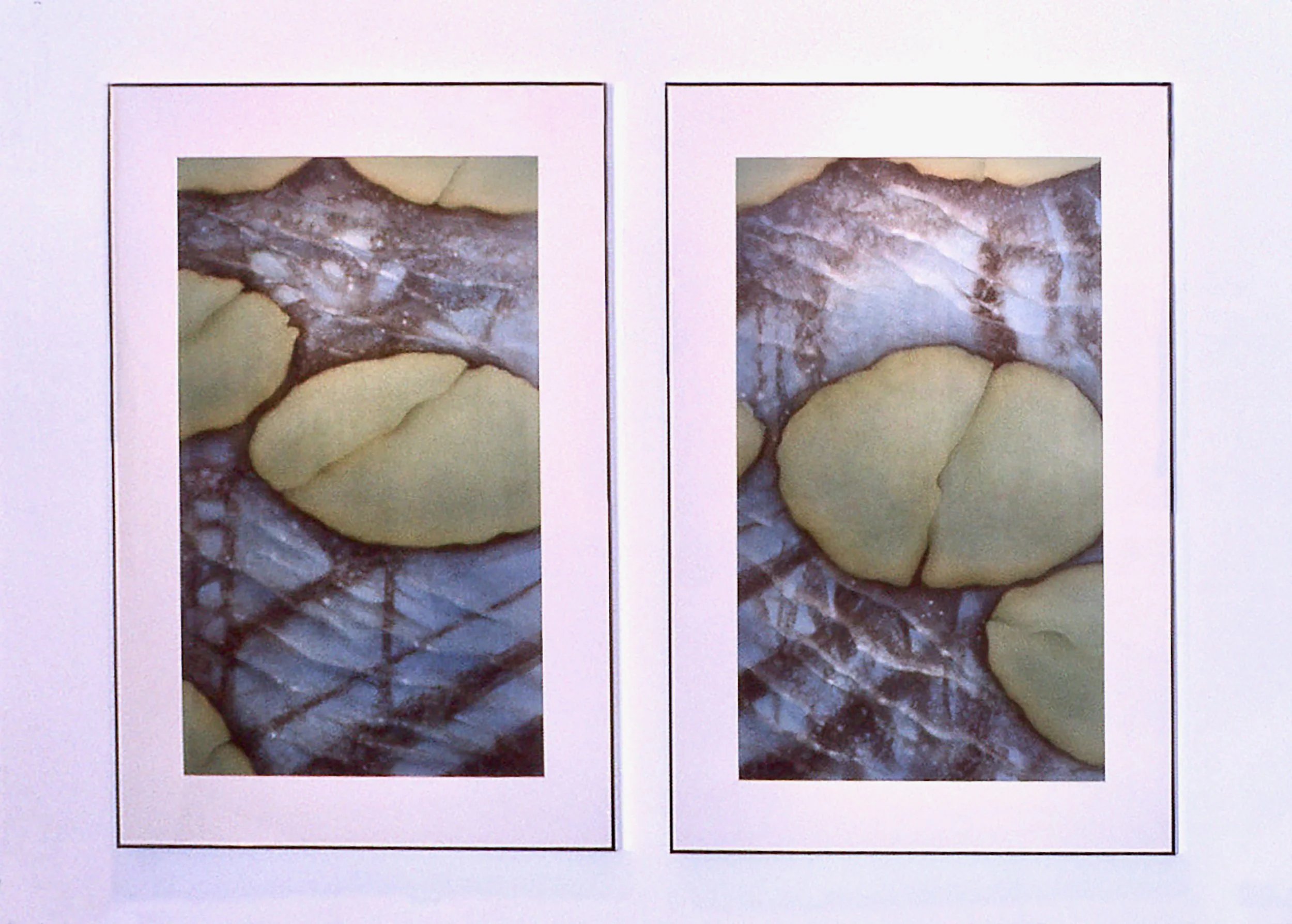 1989, Exhibit, "Pond Series II" (diptych)