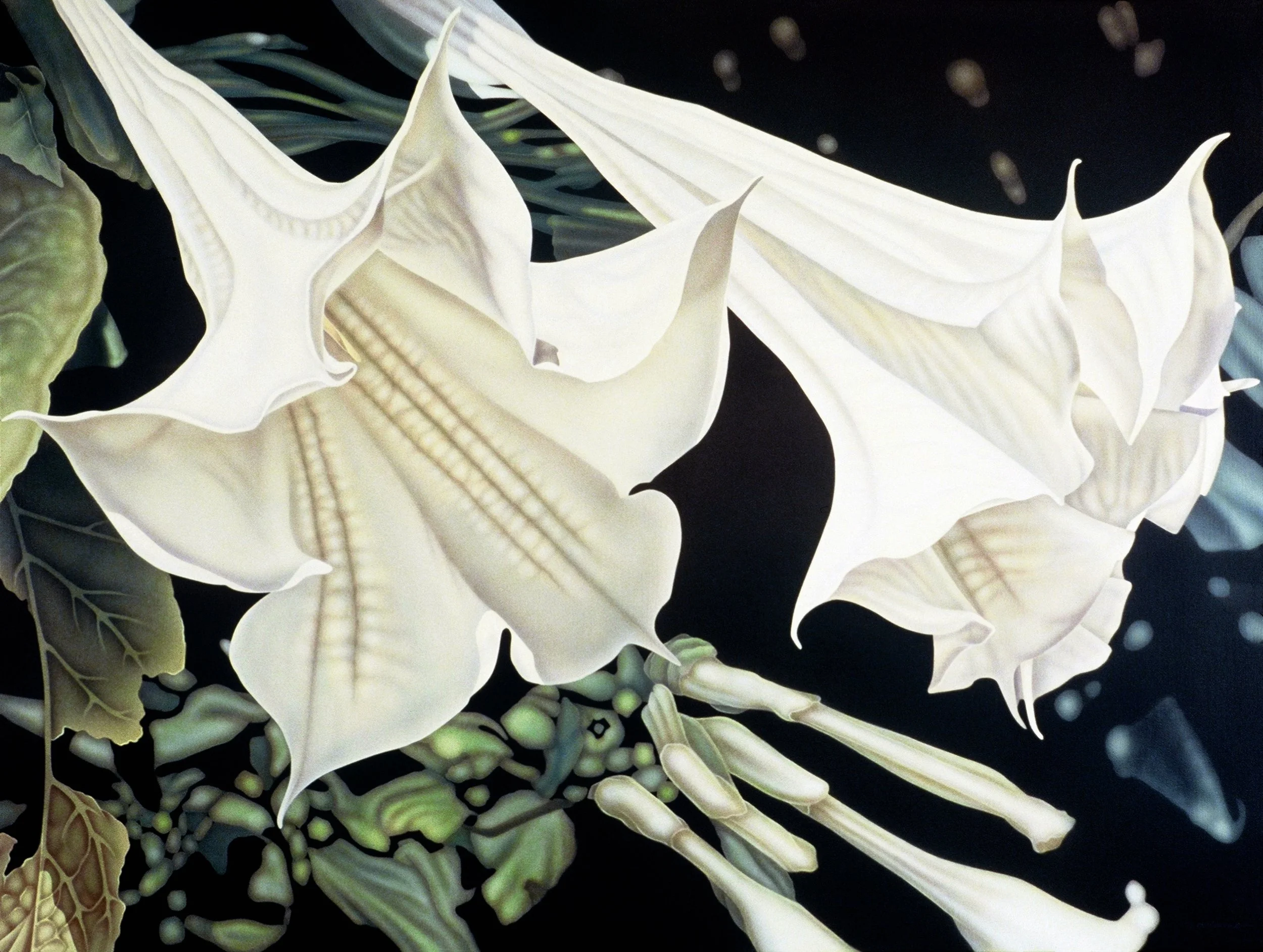 "Trumpet Flowers", airbrush acrylic on linen canvas, 30x40-inches, 1989 (Collector)