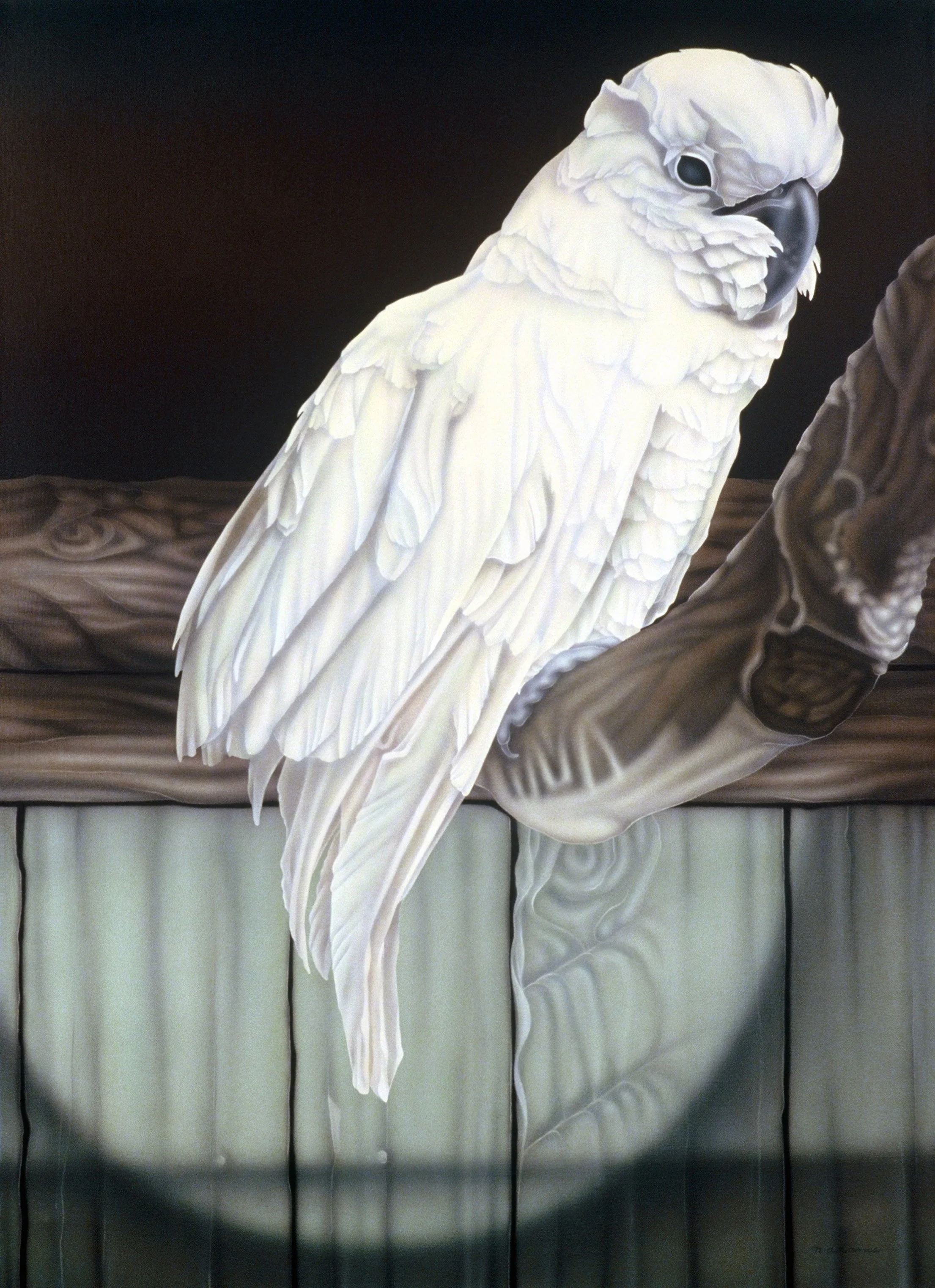 "Bird", airbrush acrylic on linen canvas, 46x34-inches, 1988 (Collector)