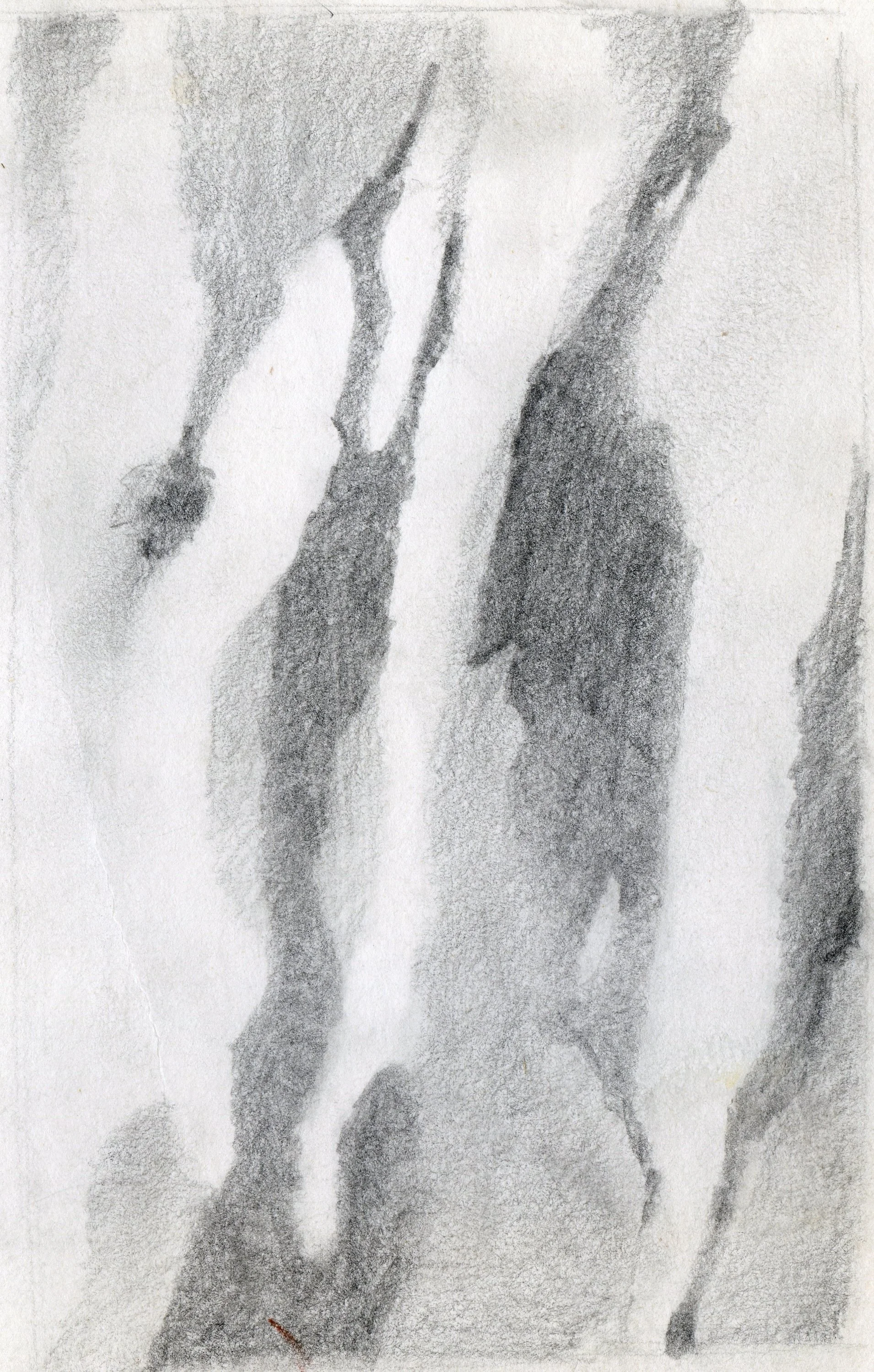 "Eucalyptus Bark", sketch, pencil on paper, 11x8.5-inches, 1977