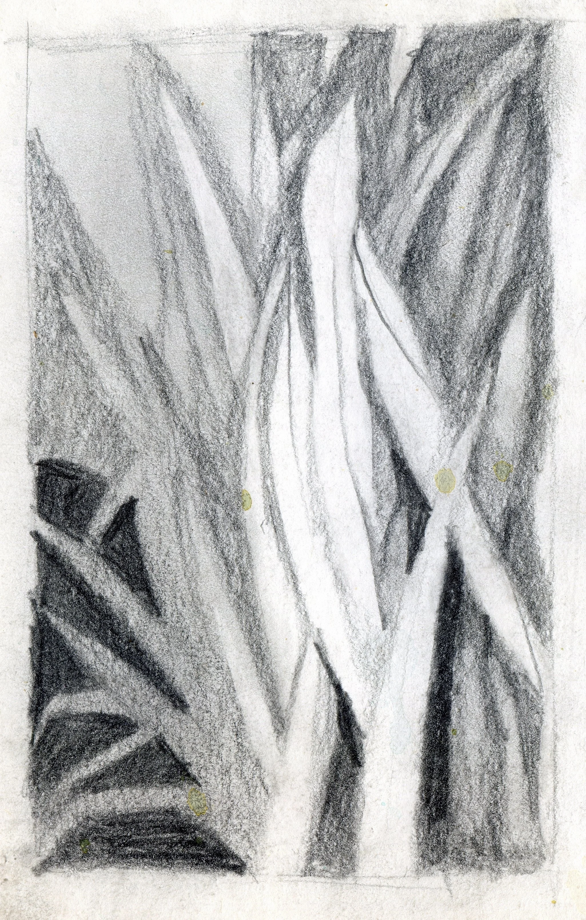 "Palm Fronds", sketch, pencil on paper, 11x8.5-inches, 1976