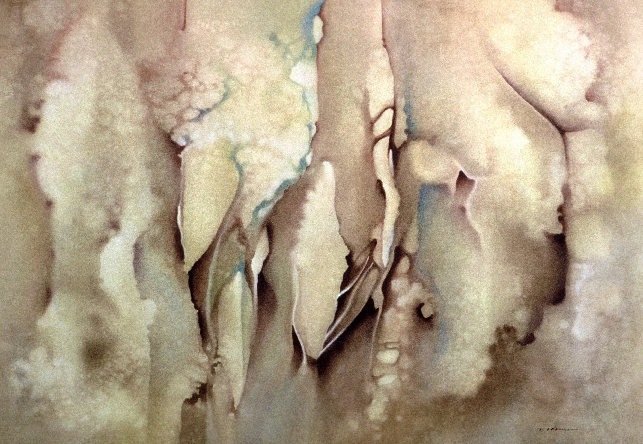 "Cape Breton Trees, Lichen", watercolor on d'Arches paper, 21x29-inches, 1982 (Collector)