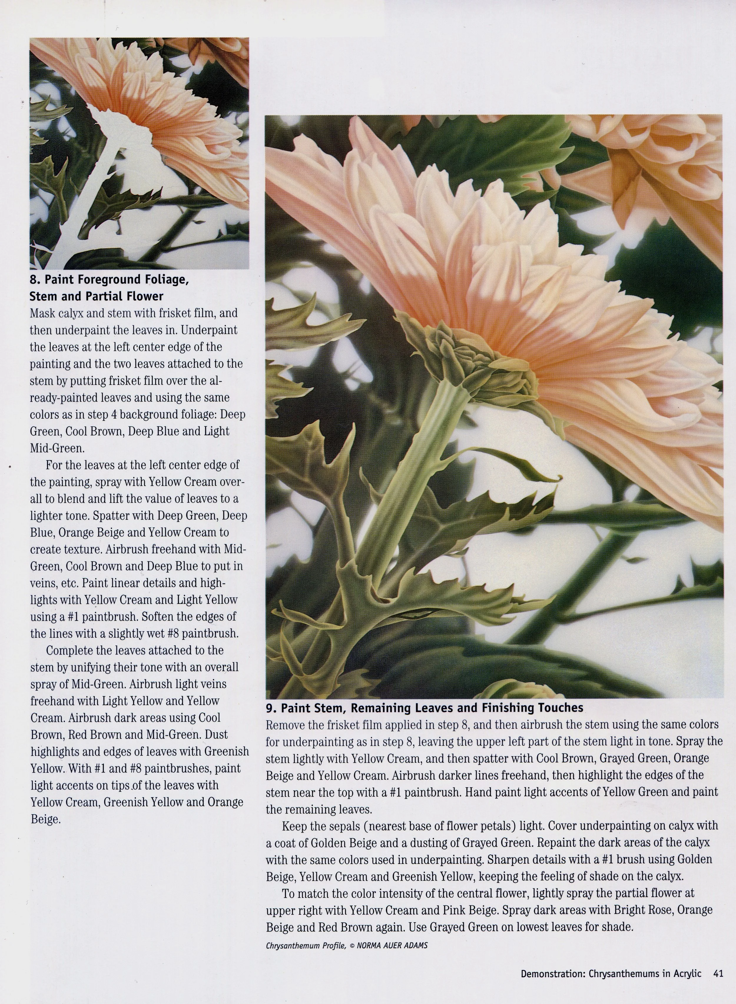 %22Artist's Photo Reference FLOWERS%22, Gary Greene (1998), %22Chysanthemum Profile%22, page 41.jpg
