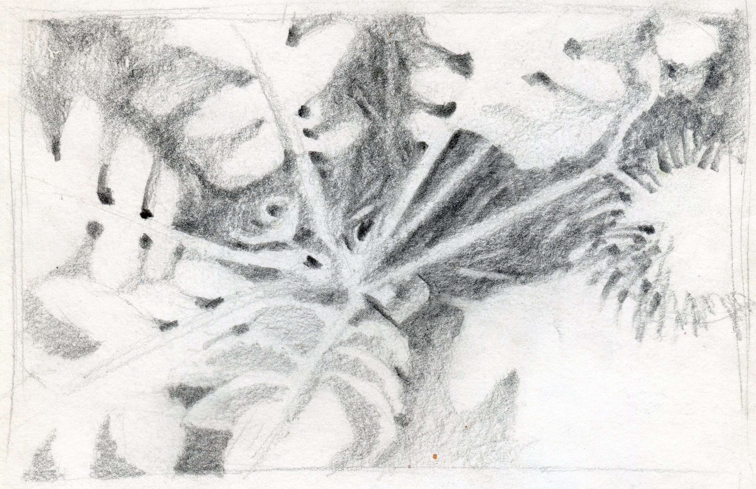 "Silver Autumn", sketch, pencil on paper, 8.5x11-inches, 1976