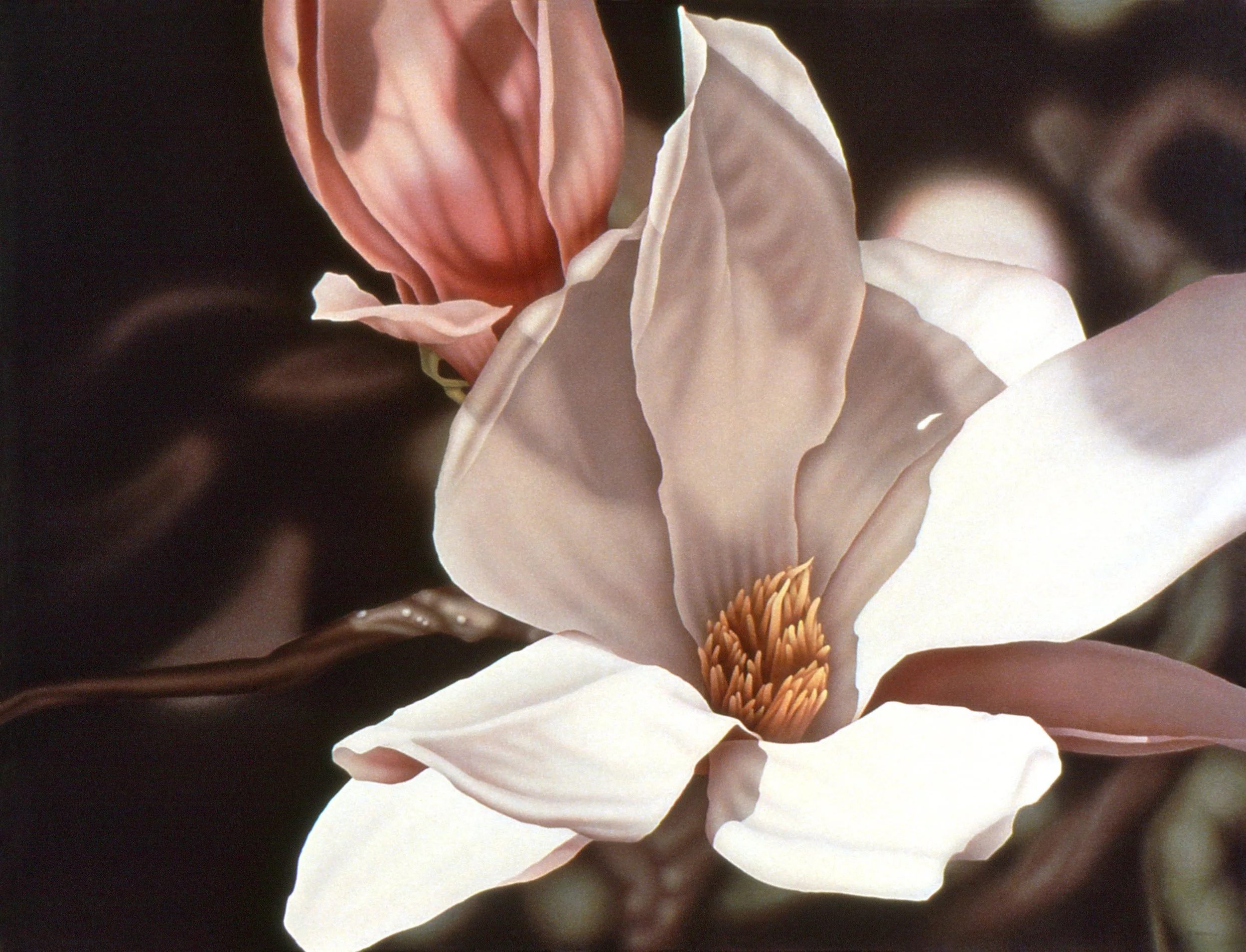 "Magnolias, Red and White" (9 details)