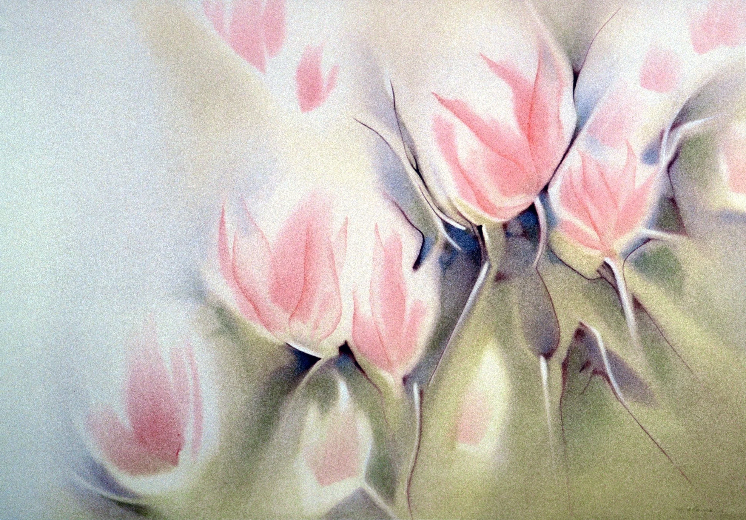 "Magnolias I", watercolor on d'Arches paper, 25x39-inches, 1982 (Collector)