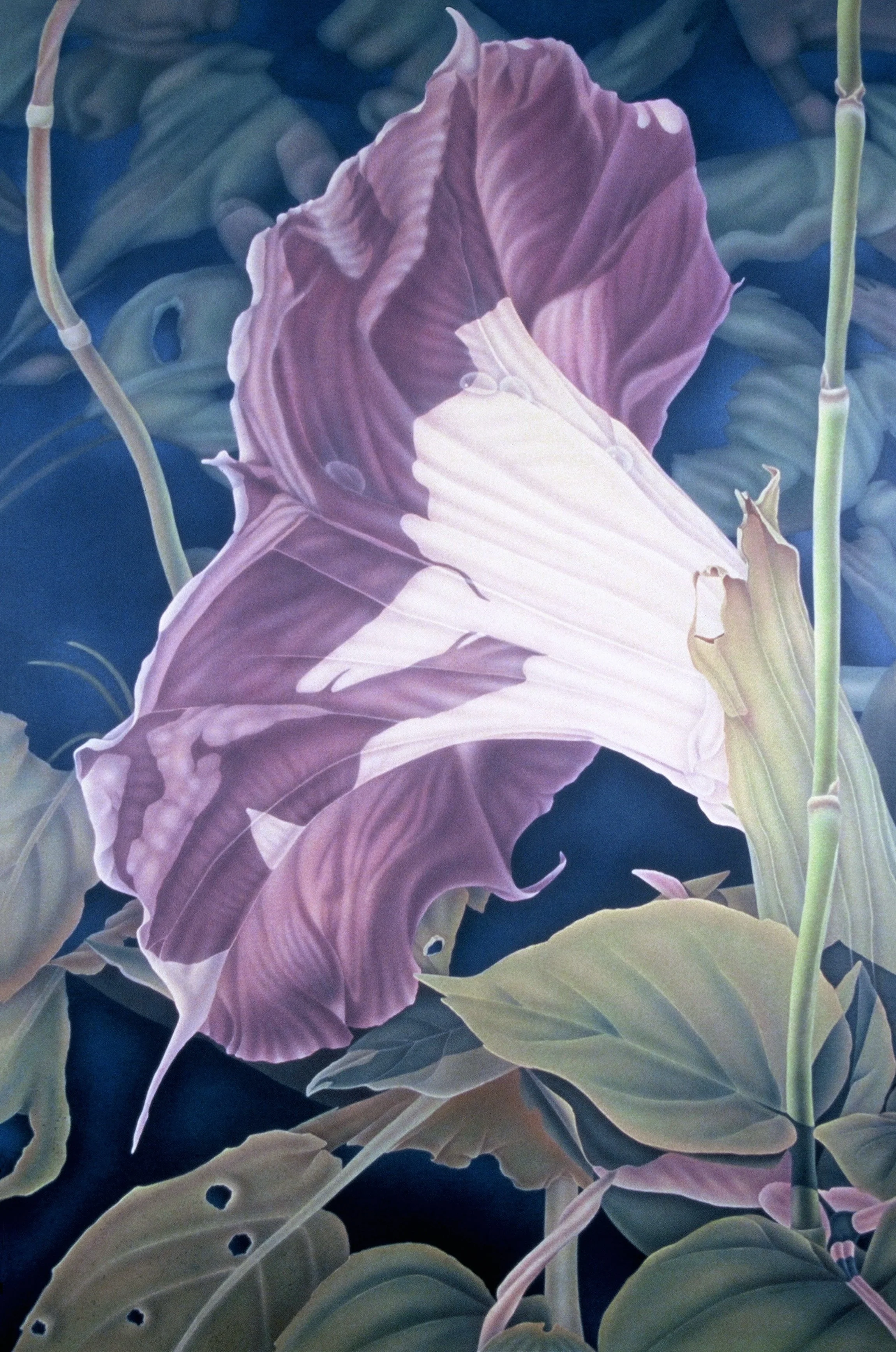 "Sacred Datura", airbrush acrylic on linen canvas, 72x48-inches, 1987 (Studio)