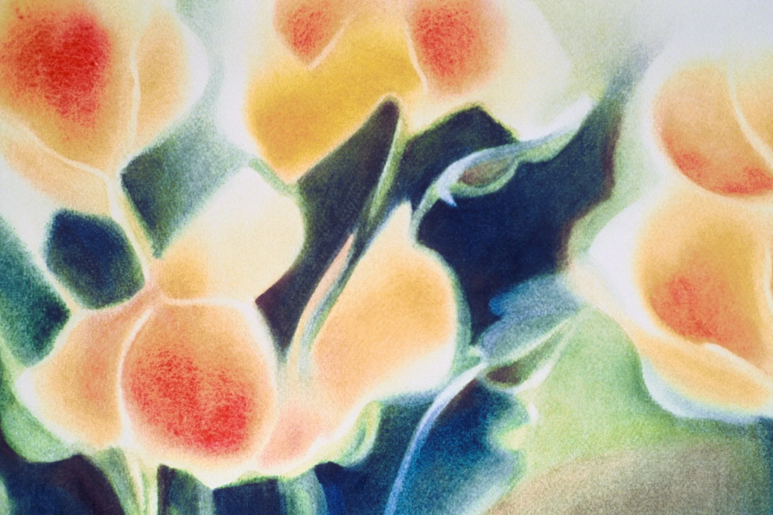 "A Profusion of Poppies", watercolor on d'Arches paper, 14x21-inches, 1978 (Collector)
