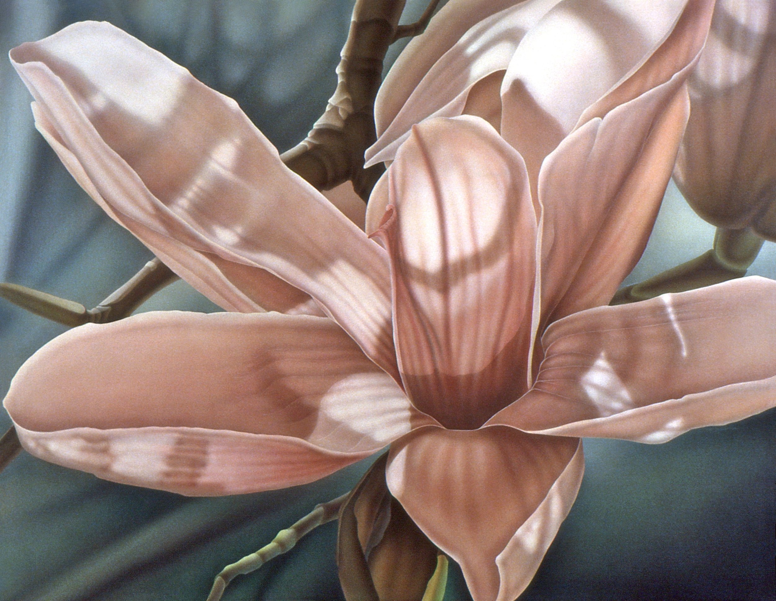 "Magnolia", airbrush acrylic on linen canvas, 30x40-inches, 1987 (Collector)