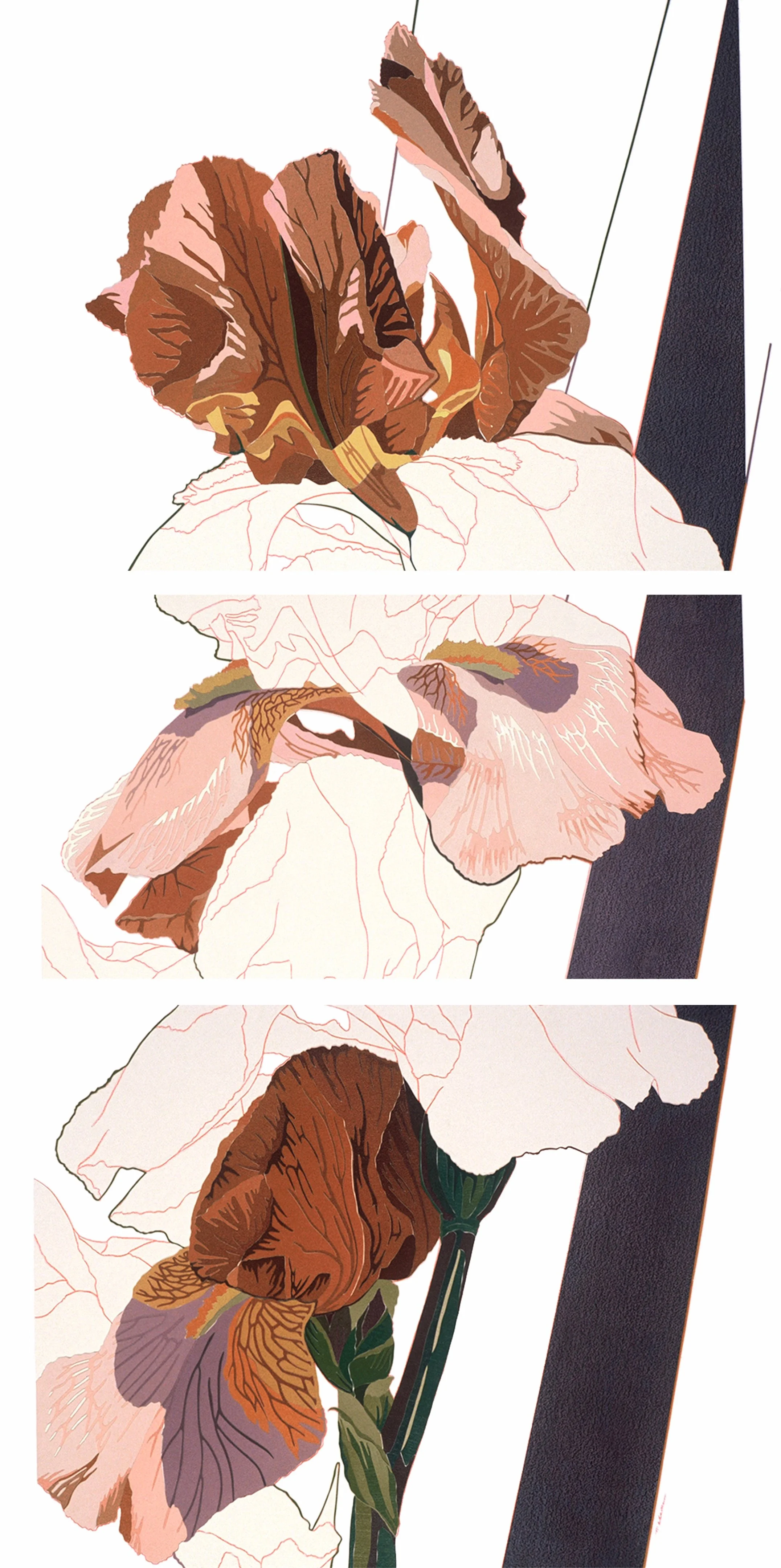 "Iris IV in Three Parts", triptych, three parts, acrylic collage on d'Arches paper -  total image 58x29-inches, 1997 (Studio)