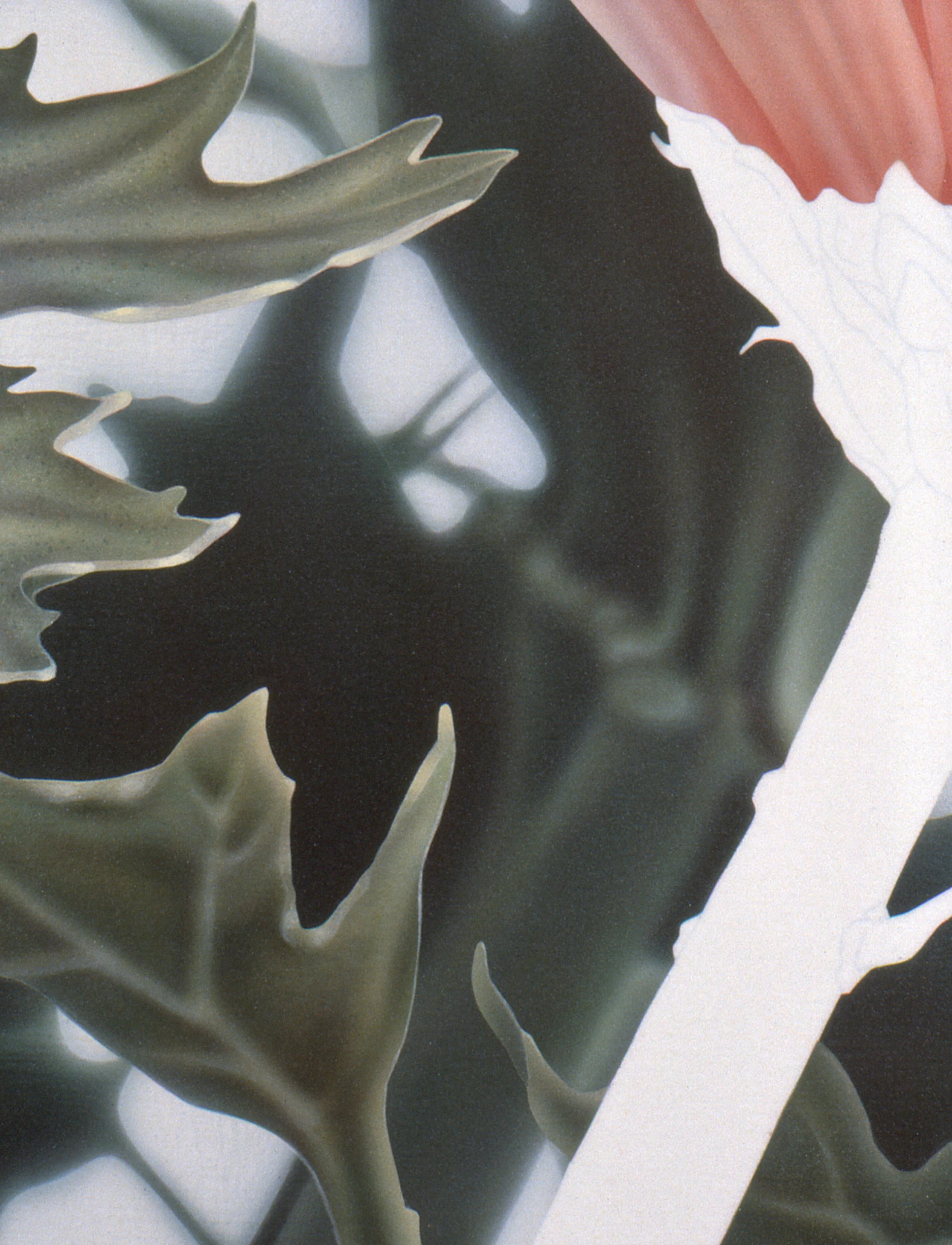 "Chrysanthemum Profile" detail 1 (digital image/slide)