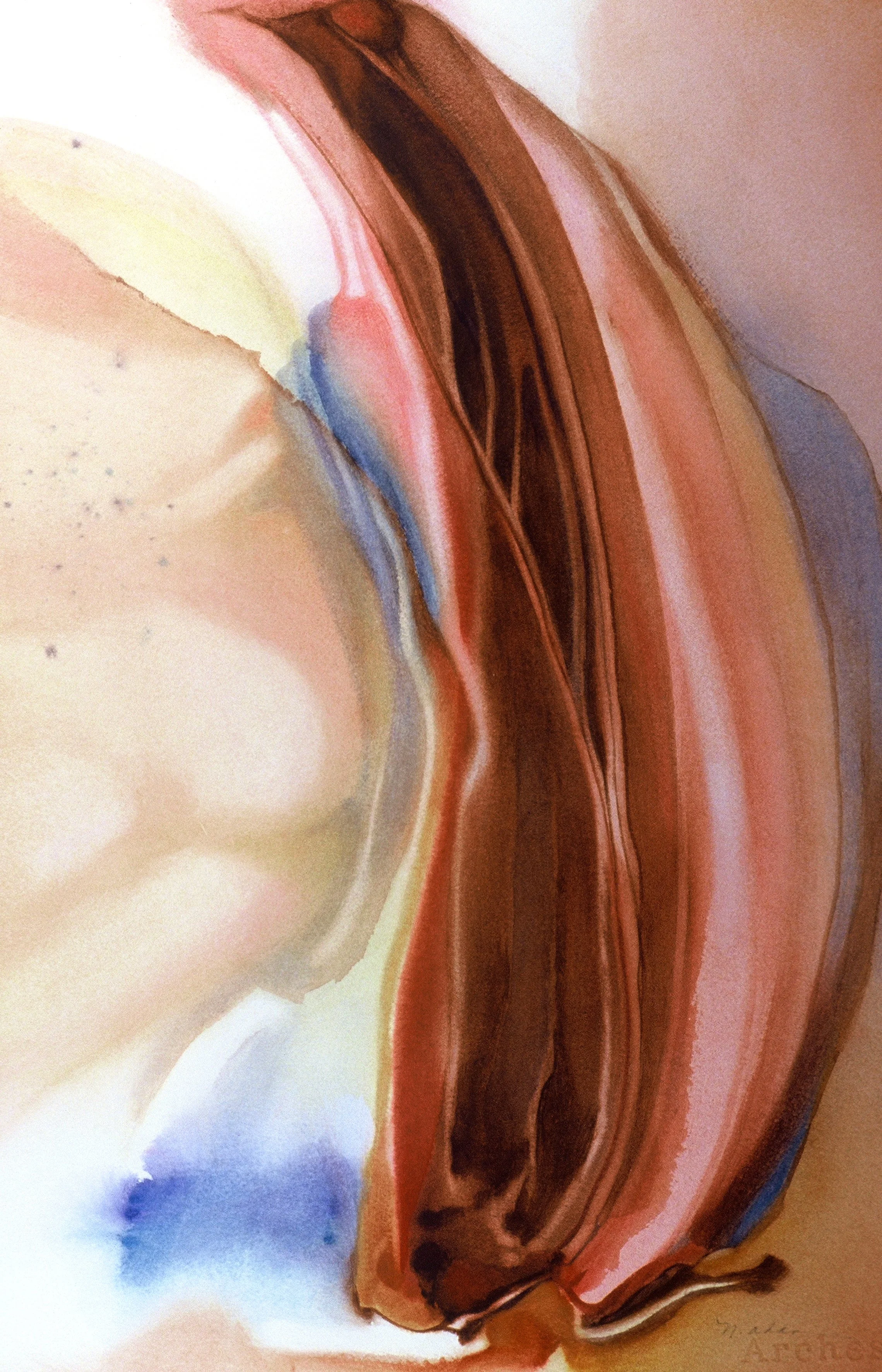 "Chrysalis II", watercolor on d'Arches paper, 21x14-inches, 1980-81 (Collector)