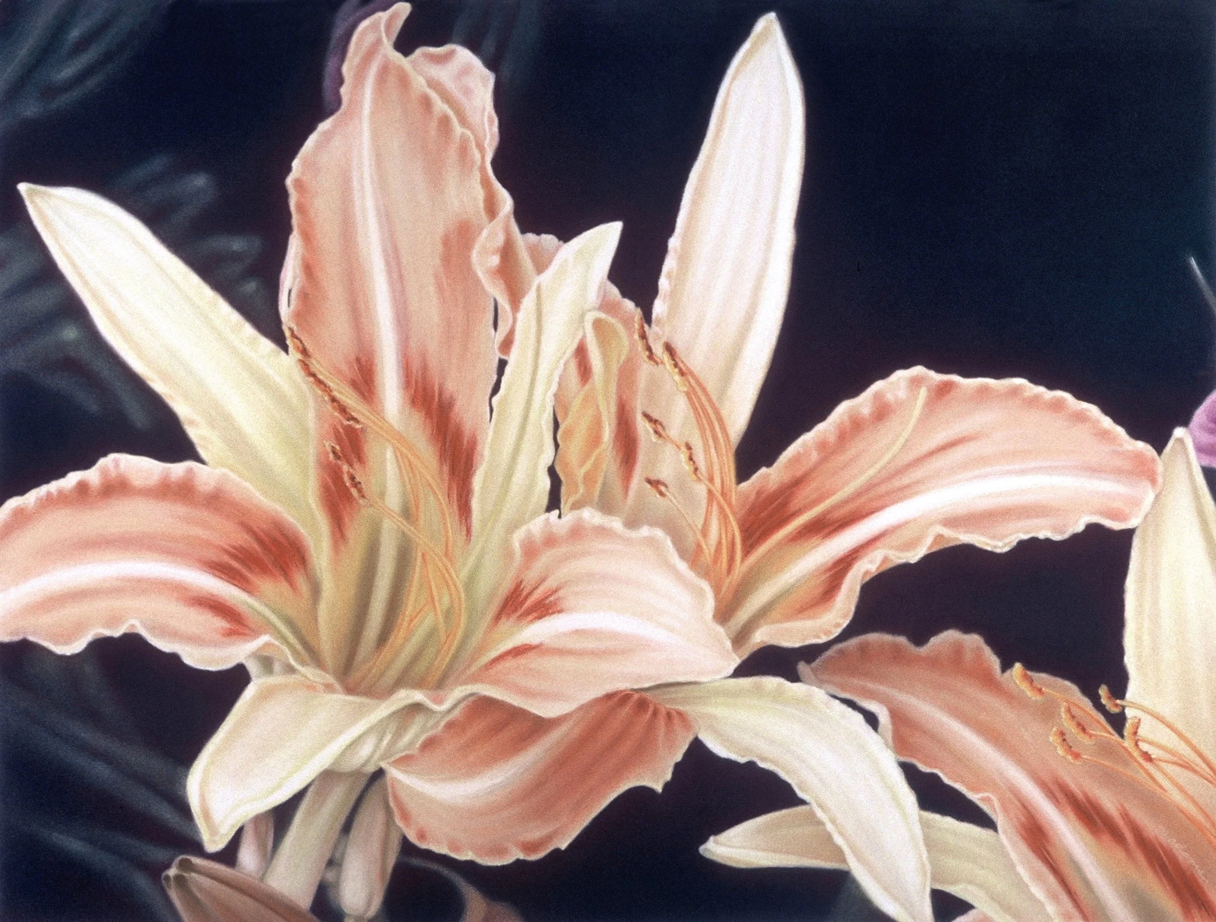 "Day Lilies I", pastel on Conventry rag paper, 22.25x29x25-inches, 1999 (Studio)
