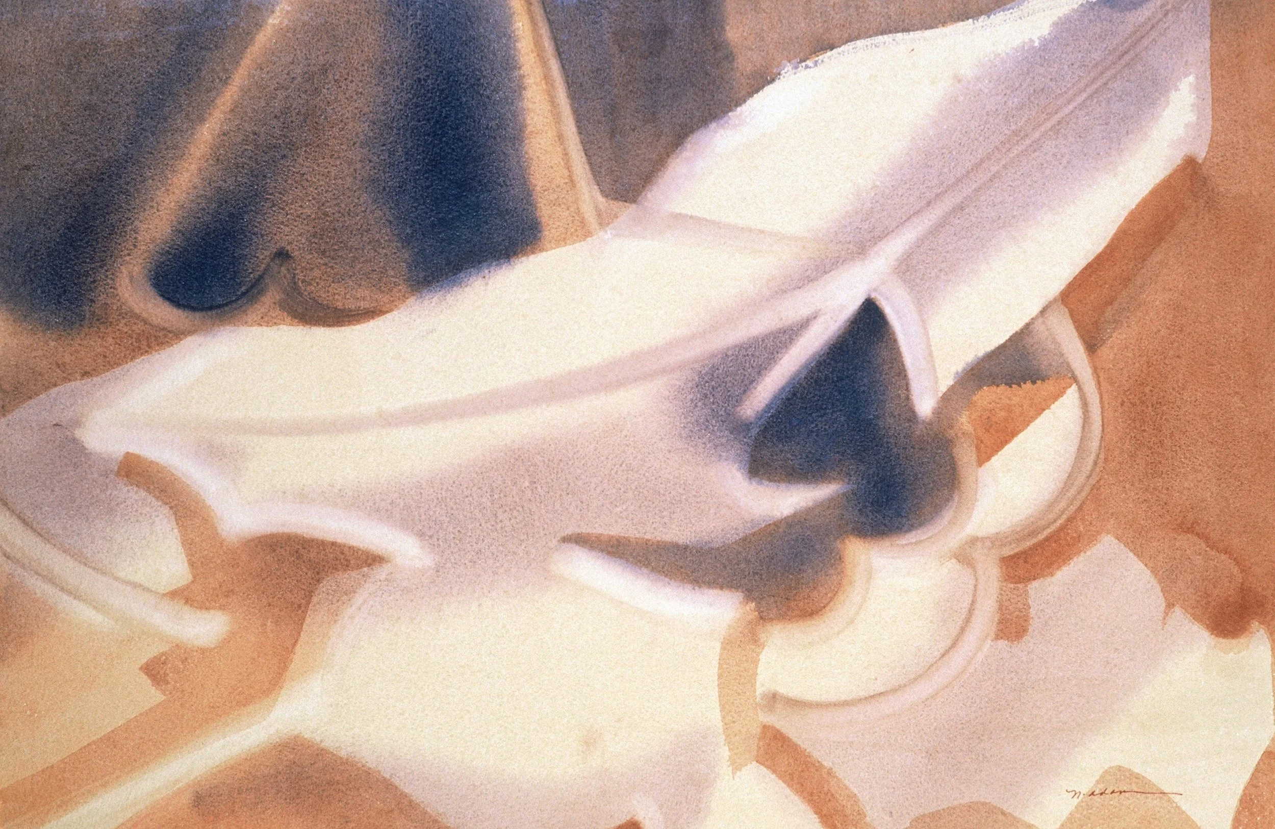 "Florest Floor", watercolor on d'Arches paper, 14x21-inches, 1976 (Studio)