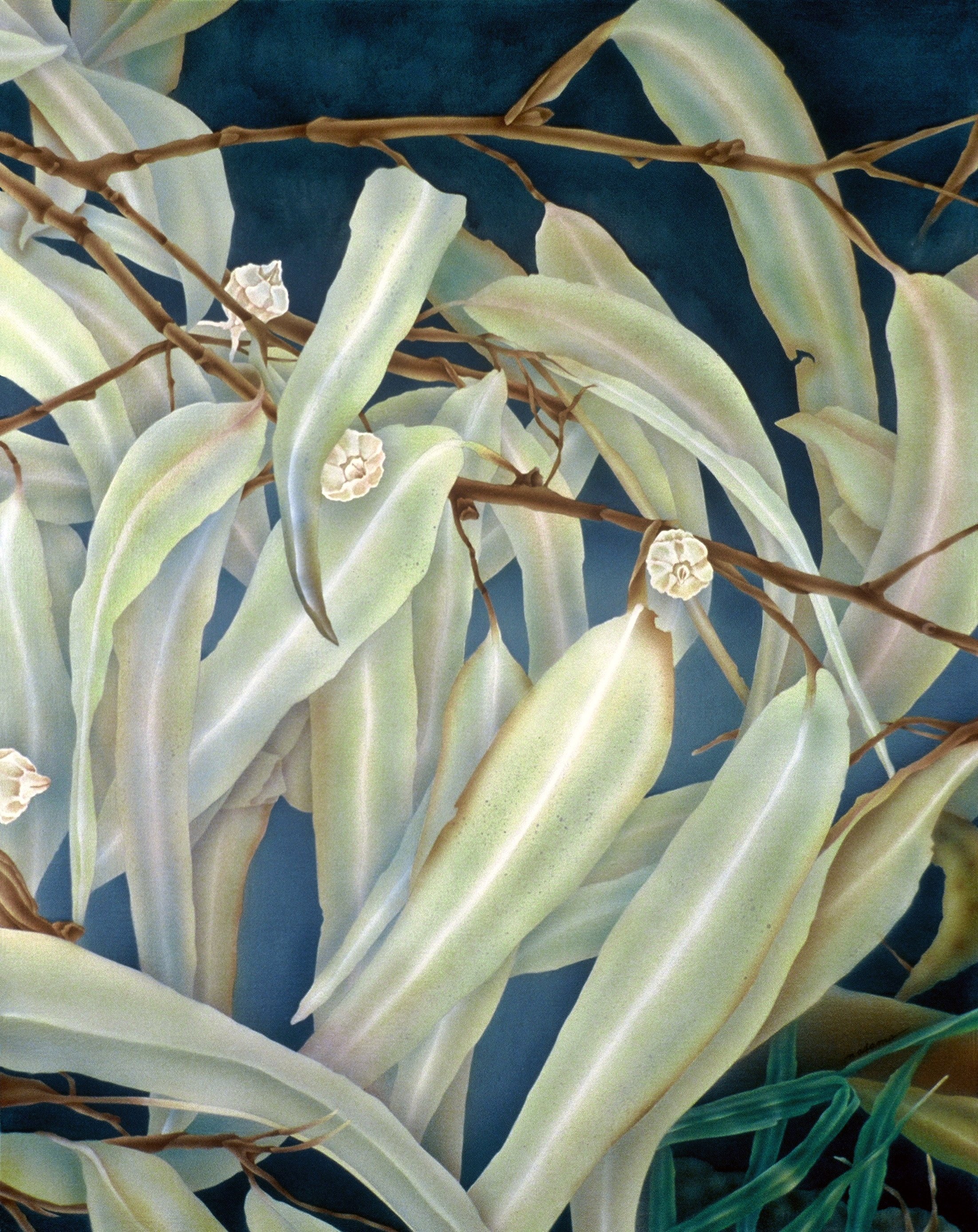 "Eucalyptus", airbrush acrylic on linen canvas, 42x30-inches, 1985 (Collector)