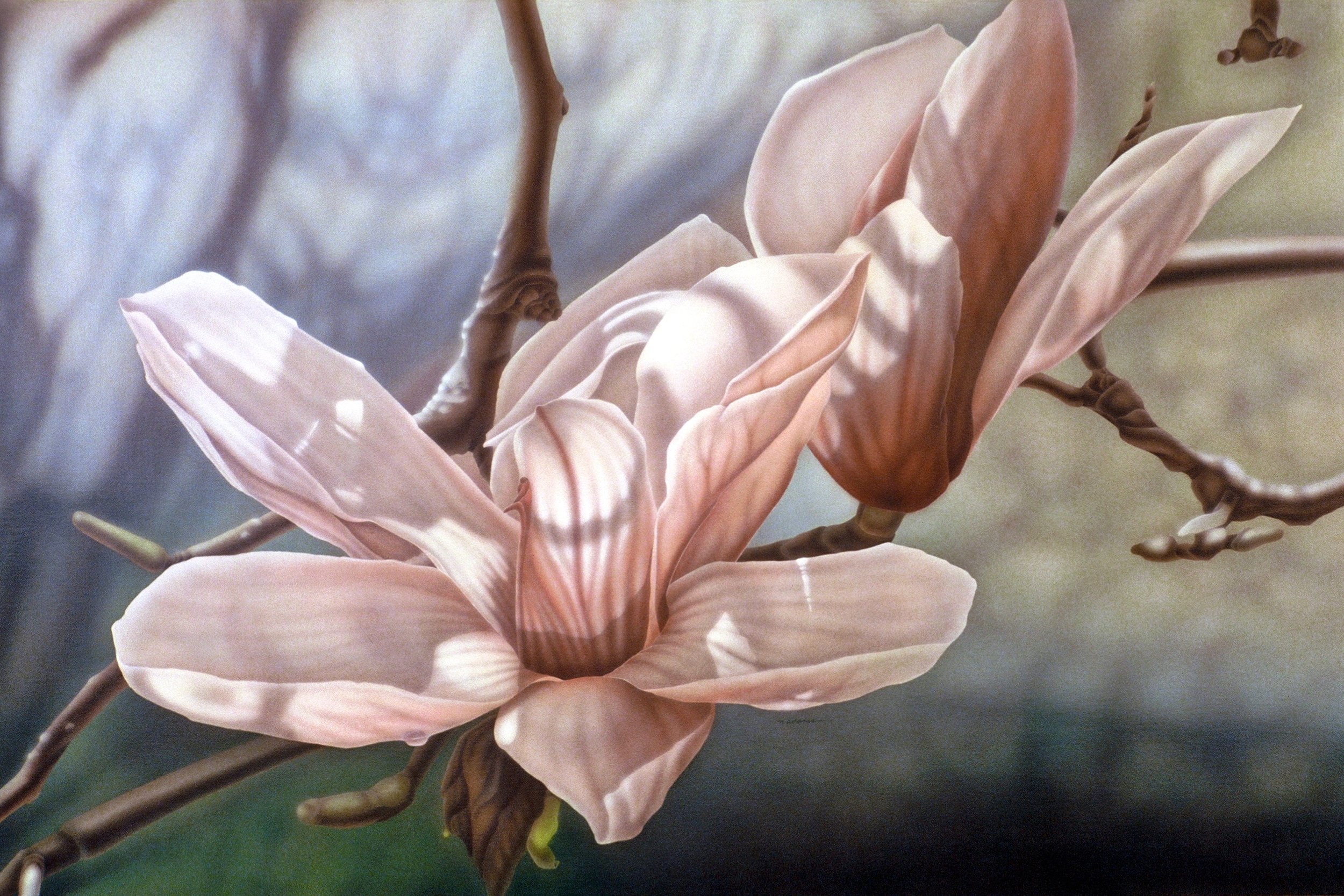 "Magnolias, Sun and Shade", airbrush acrylic on linen canvas, 38x58-inches, 1987 (Collector)