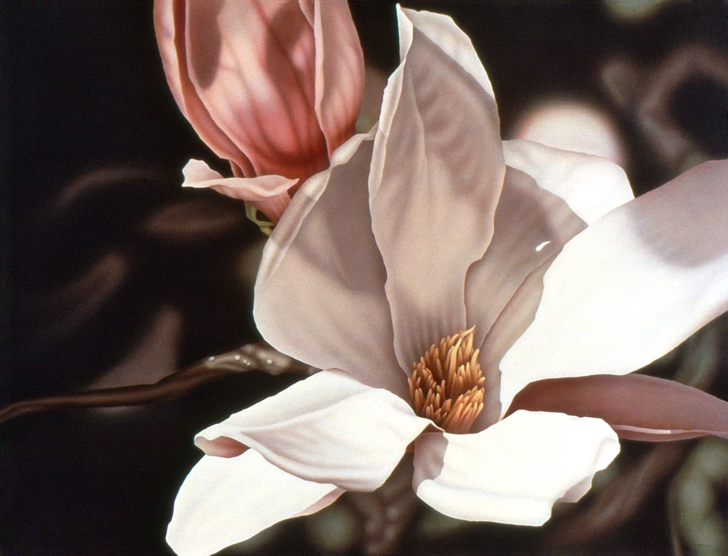 "Magnolias, Red and White", airbrush acrylic on linen canvas, 36x48-inches, 1993