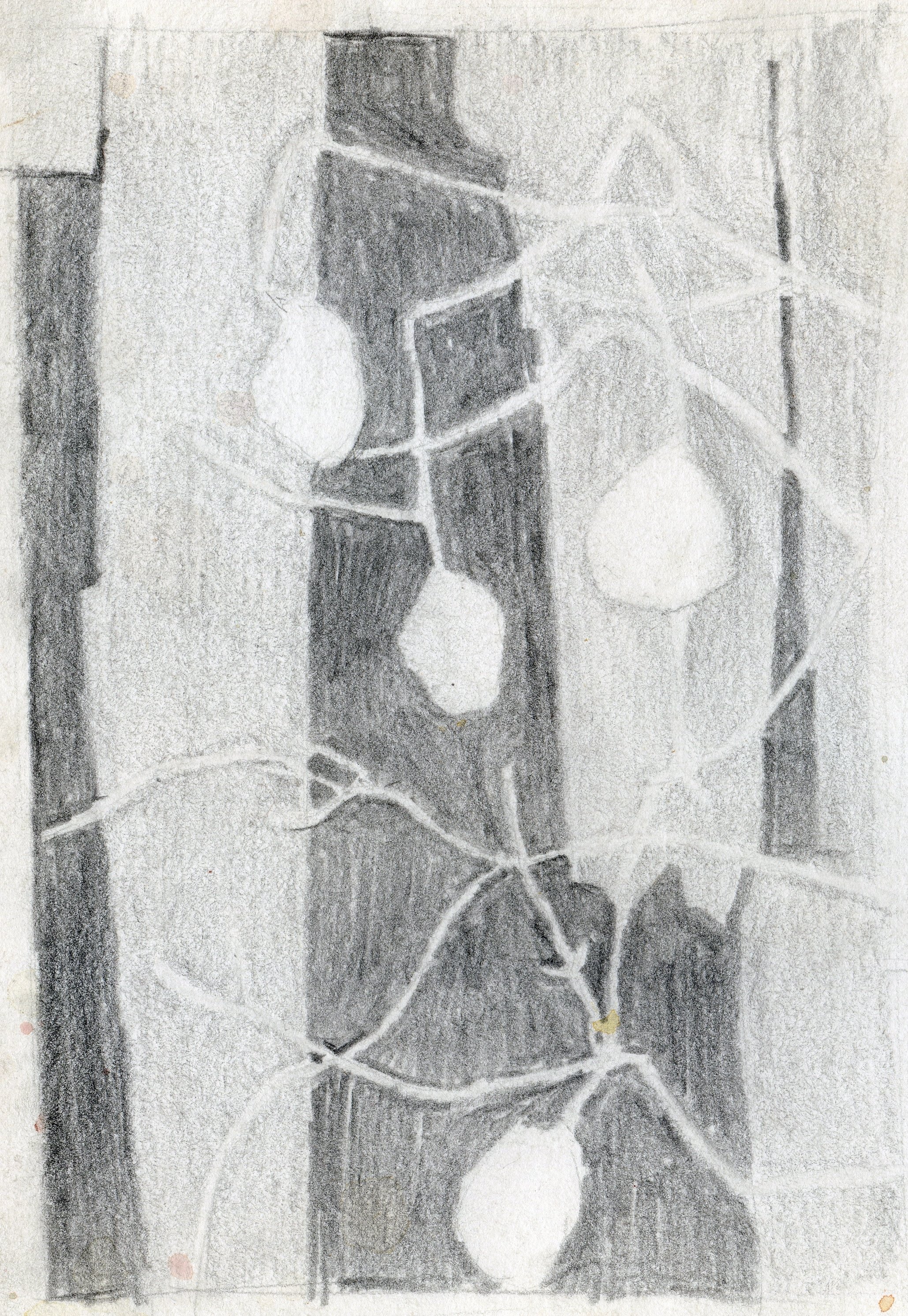 "Buckeyes Against a Barn", sketch, pencil on paper, 11x8.5-inches, 1976