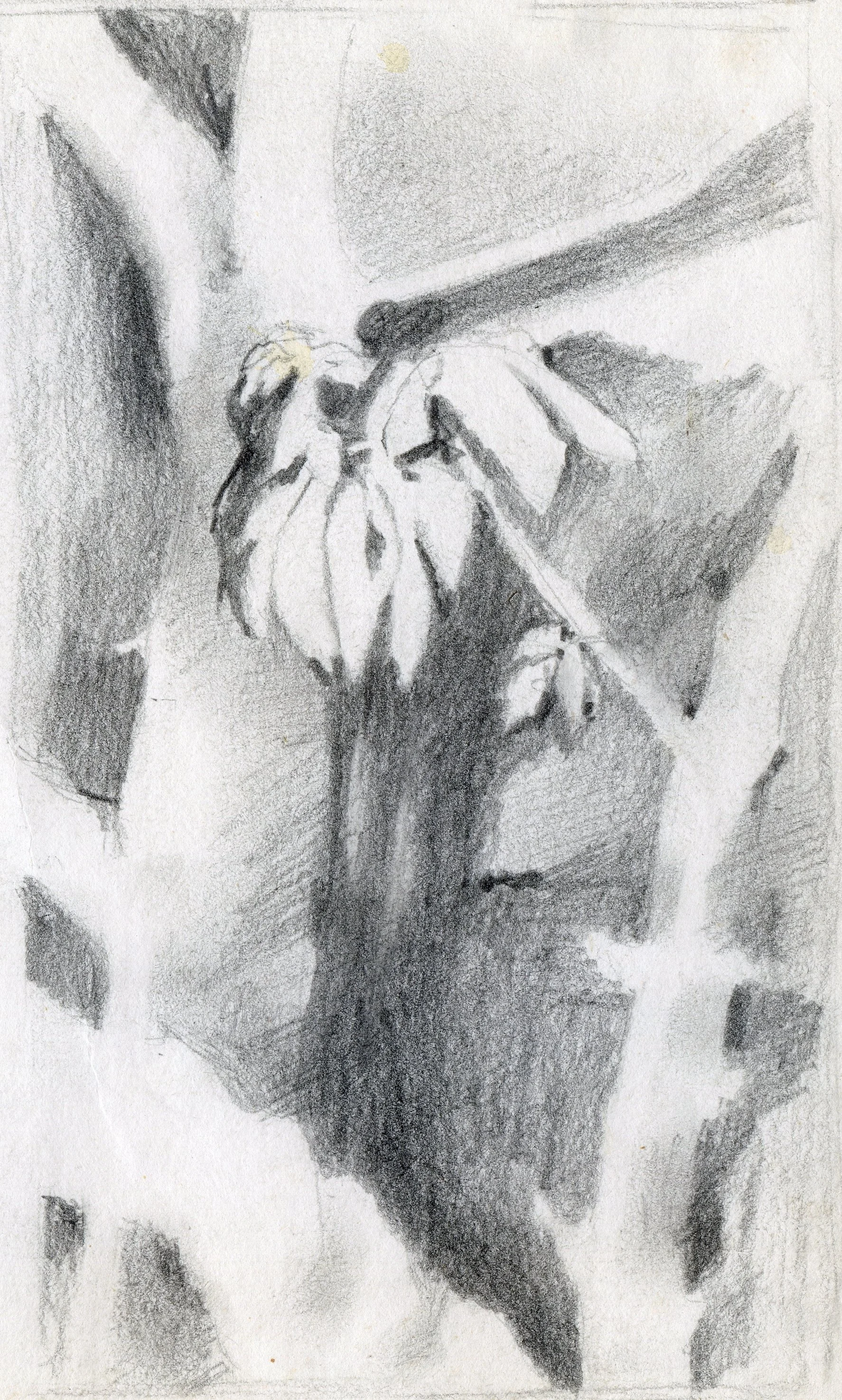 "Under the Buckeye Tree", sketch, pencil on paper, 11x8.5-inches, 1977