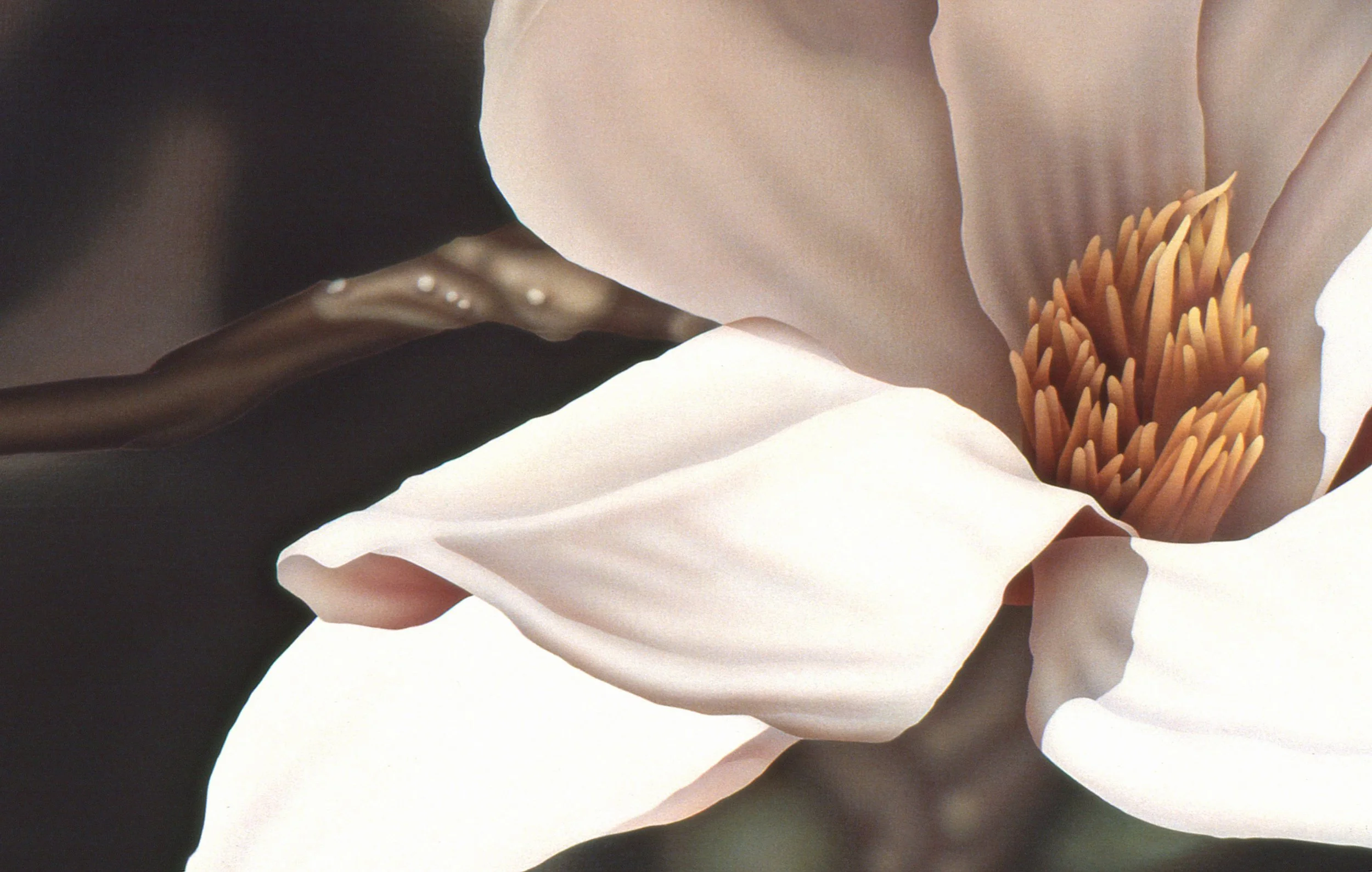"Magnolias, Red and White", early detail 5 (digital image/slide)