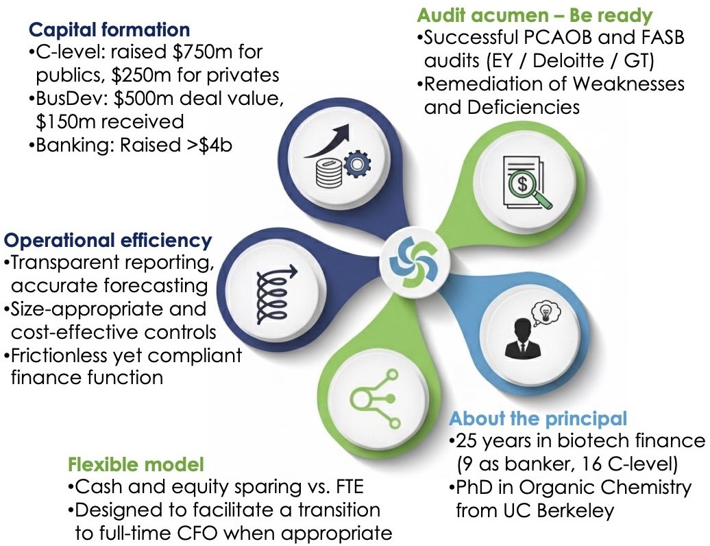 Infographic with five sections discussing capital formation, audit acumen, operational efficiency, about the principal, and flexible model, each with corresponding icons and bullet points.