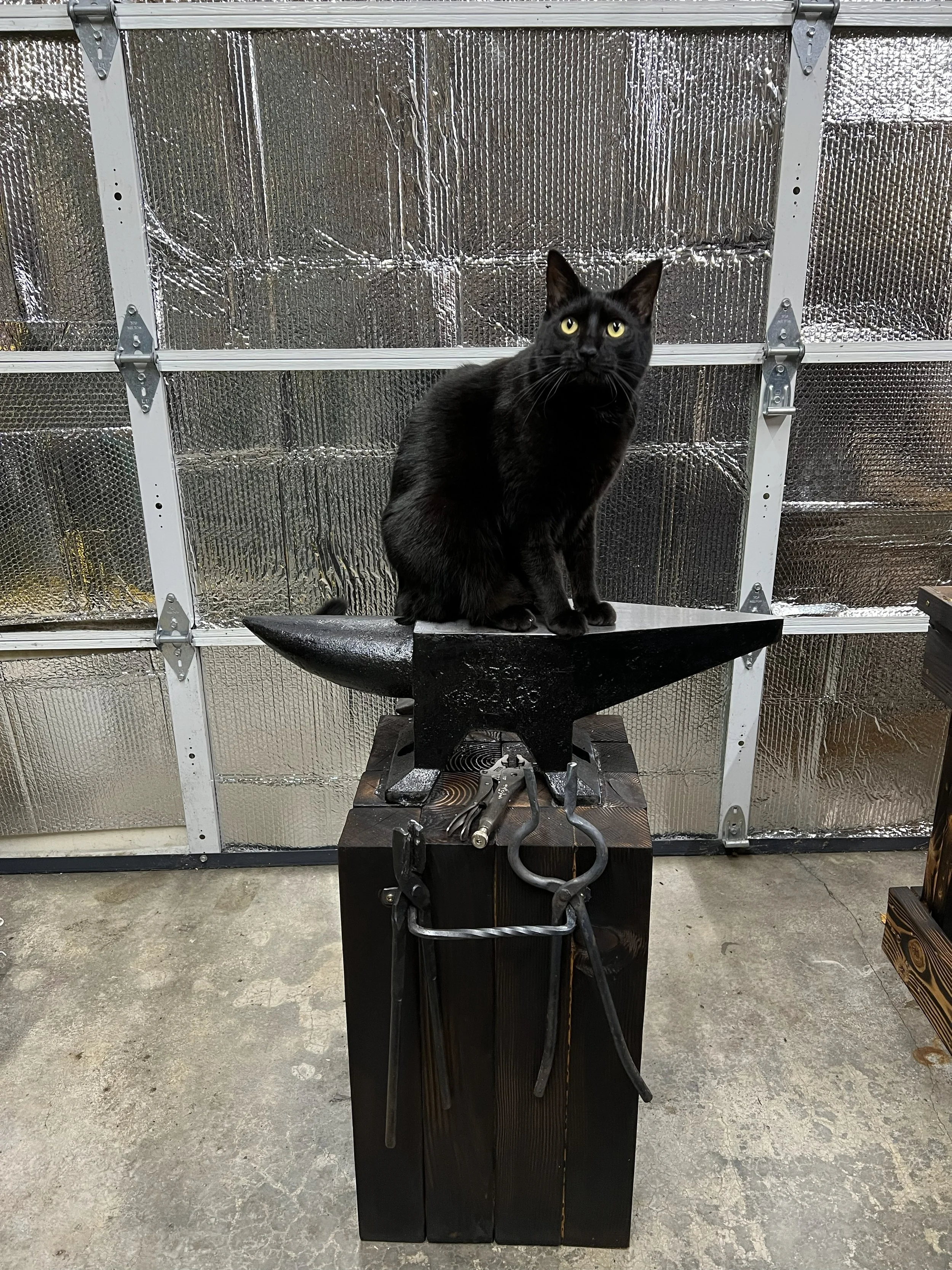 Max. Keeper of the anvil.