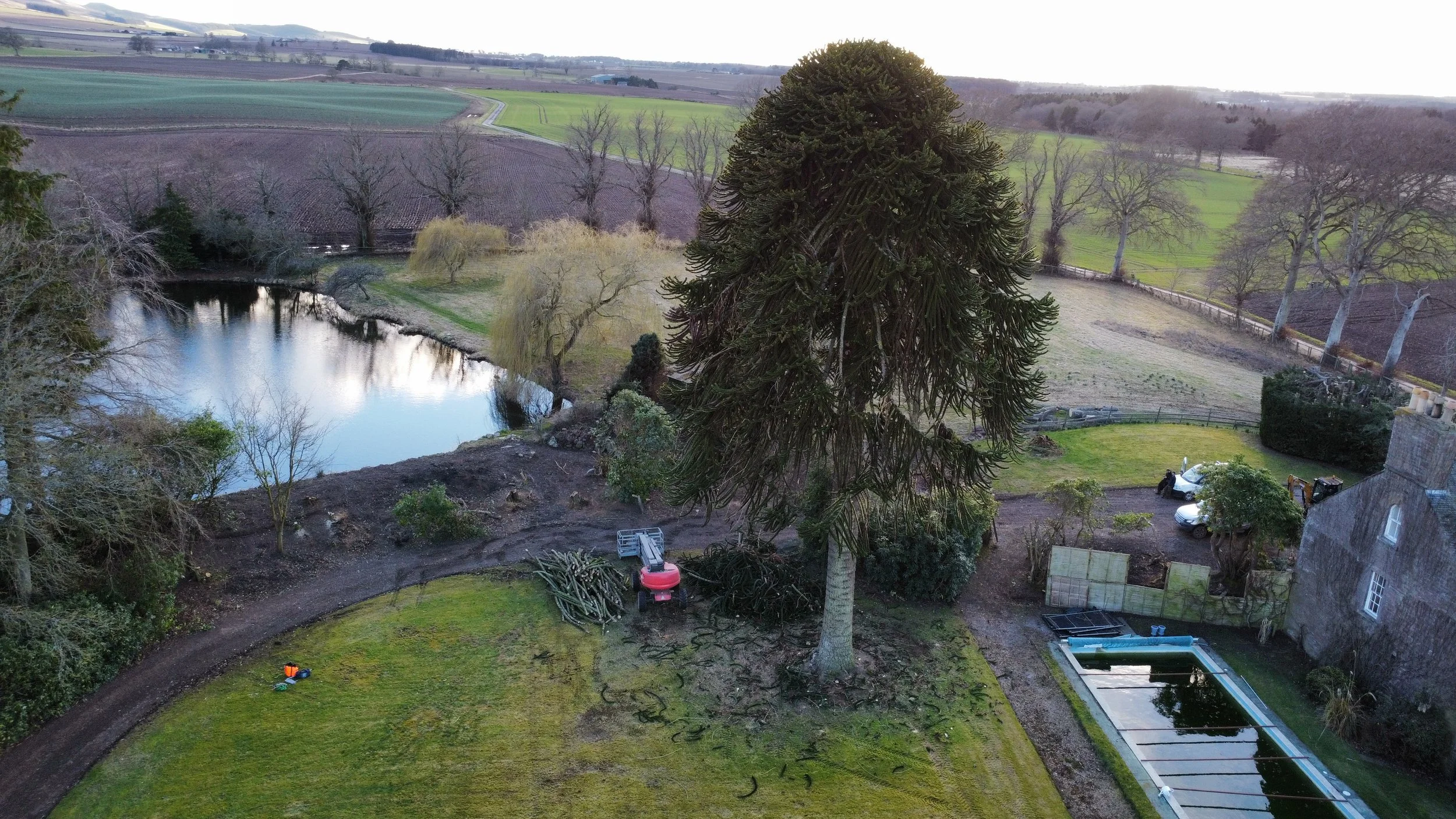 dji_fly_20230306_164634_16_1678126109267_photo_optimized.jpg