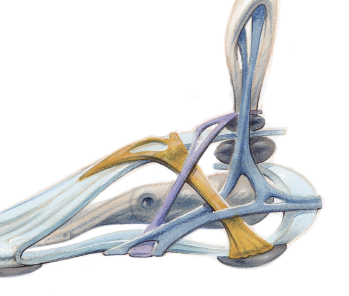 BIOTENSEGRITY