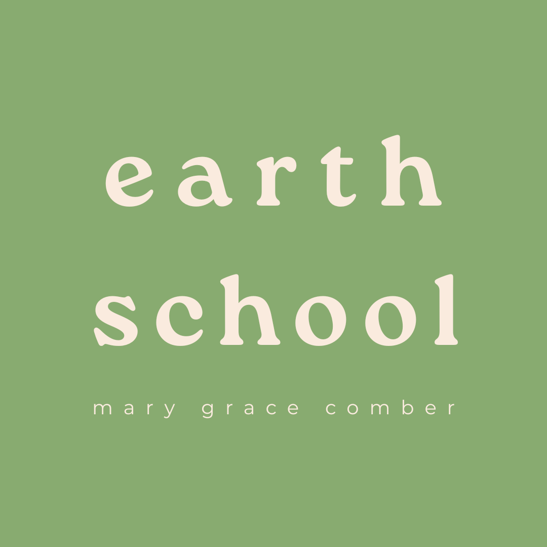 earth school.png