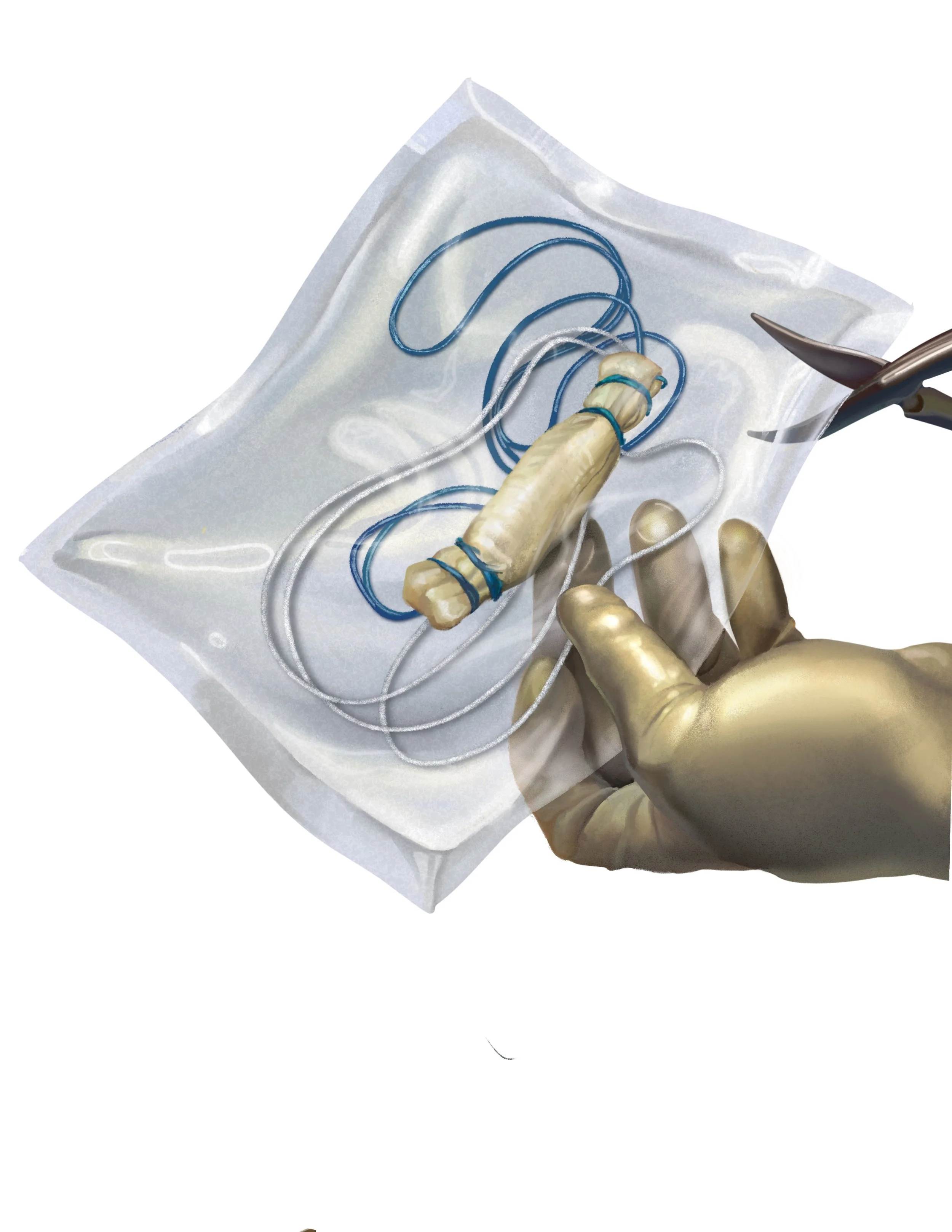 Untitled_Artwork 50.jpg