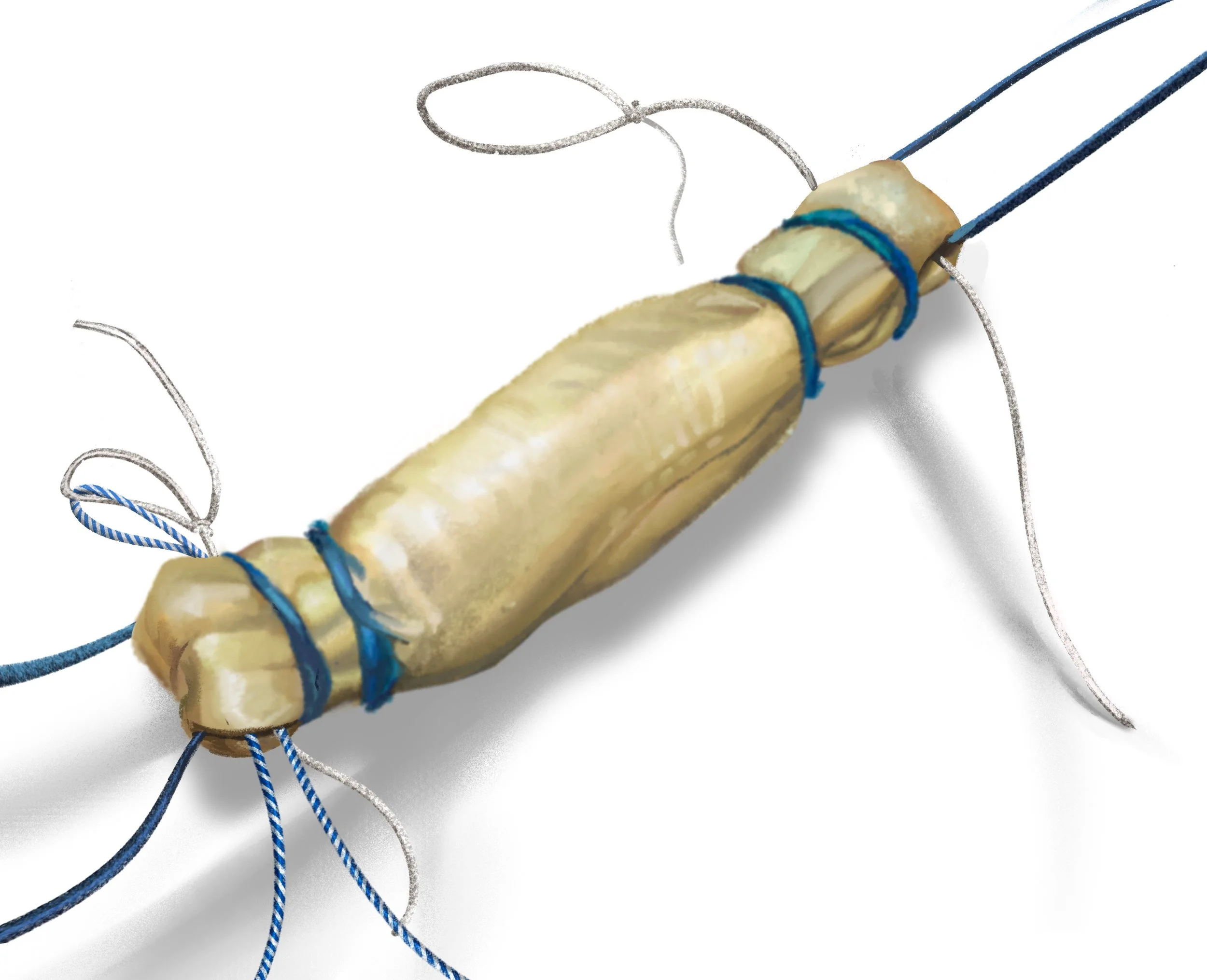 Untitled_Artwork 1.jpg