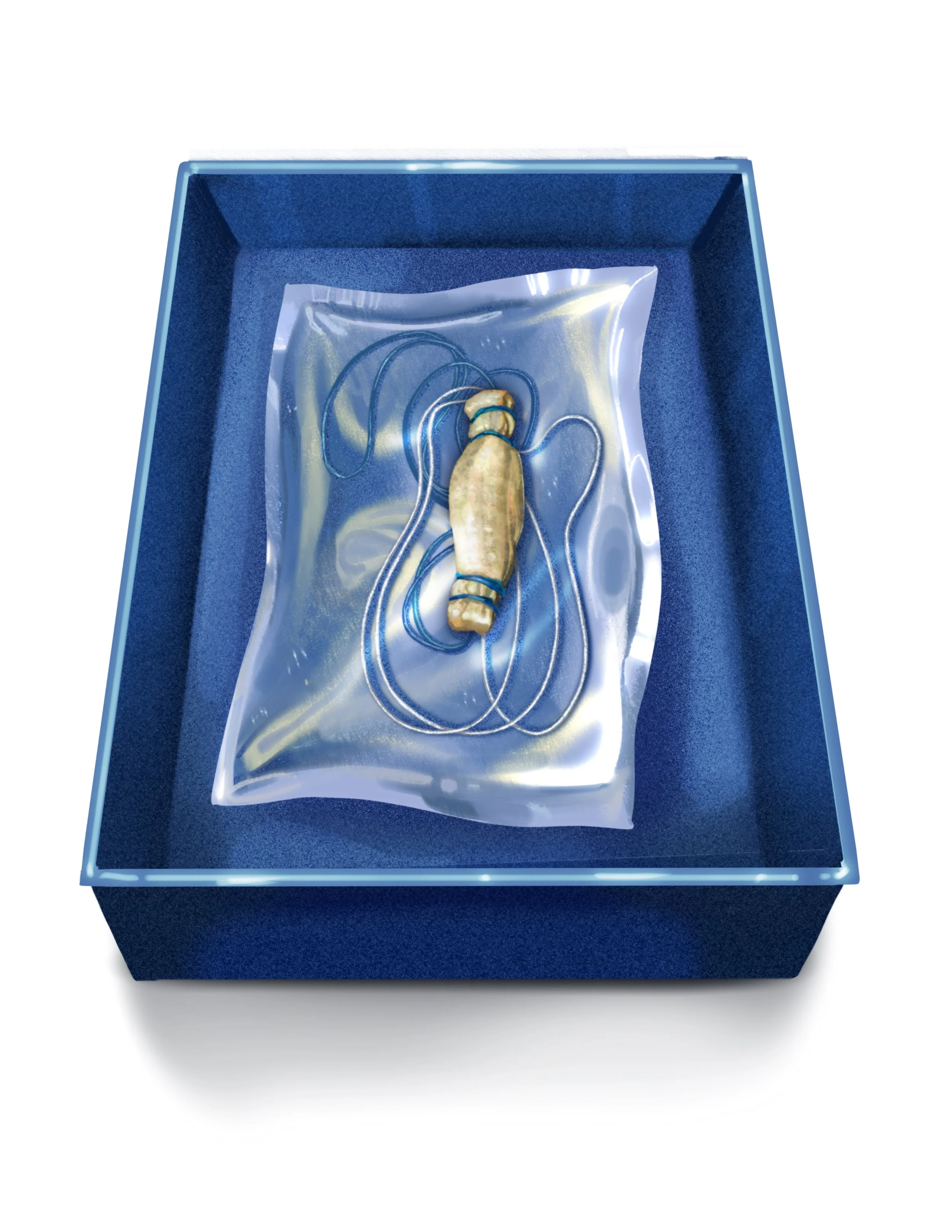 Untitled_Artwork 49.jpg