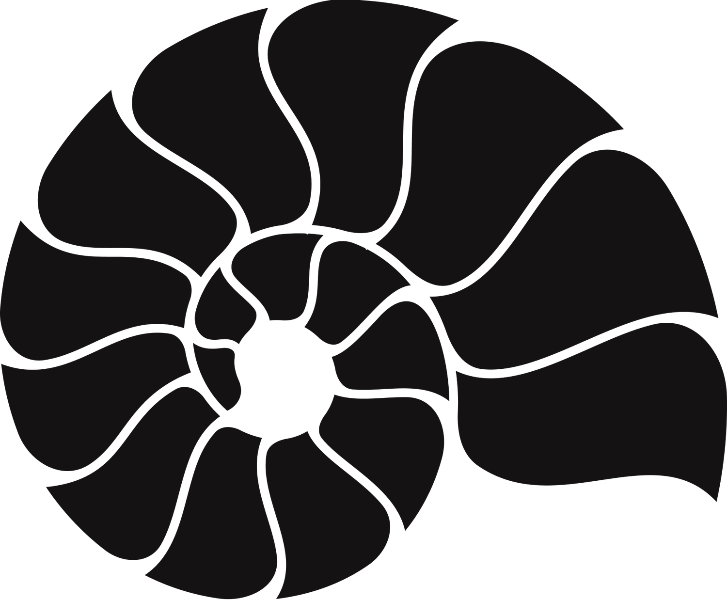 Ammonite Inscription Company