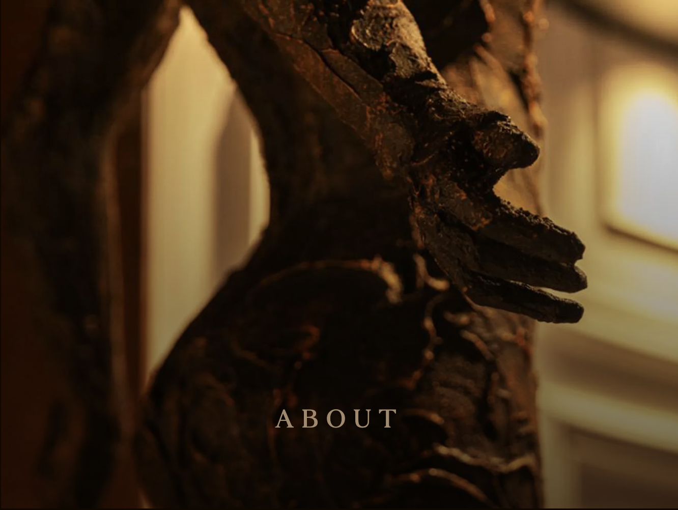 Screenshot 2025-11-25 at 6.14.19 PM.png