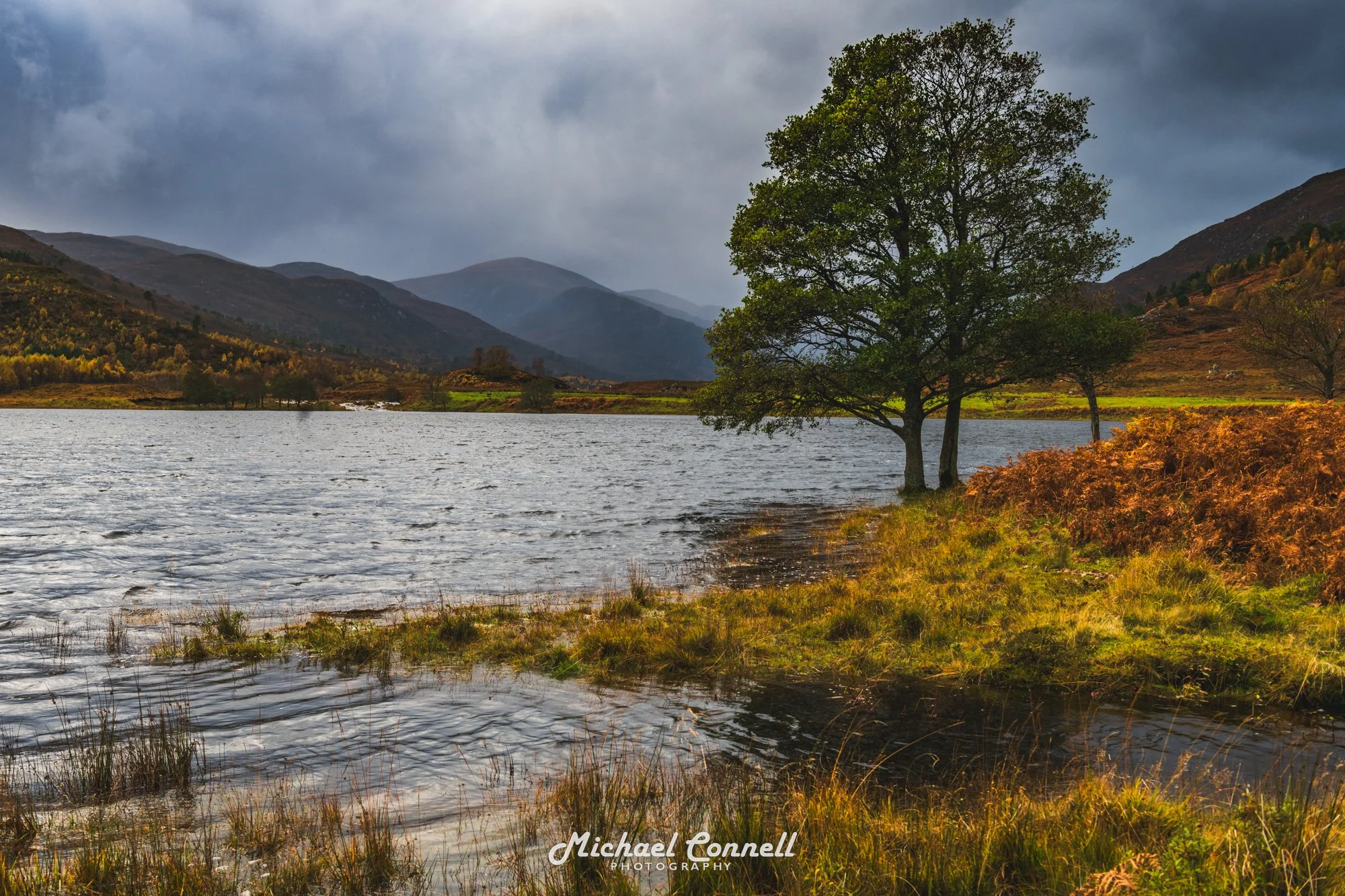 Glen Affric